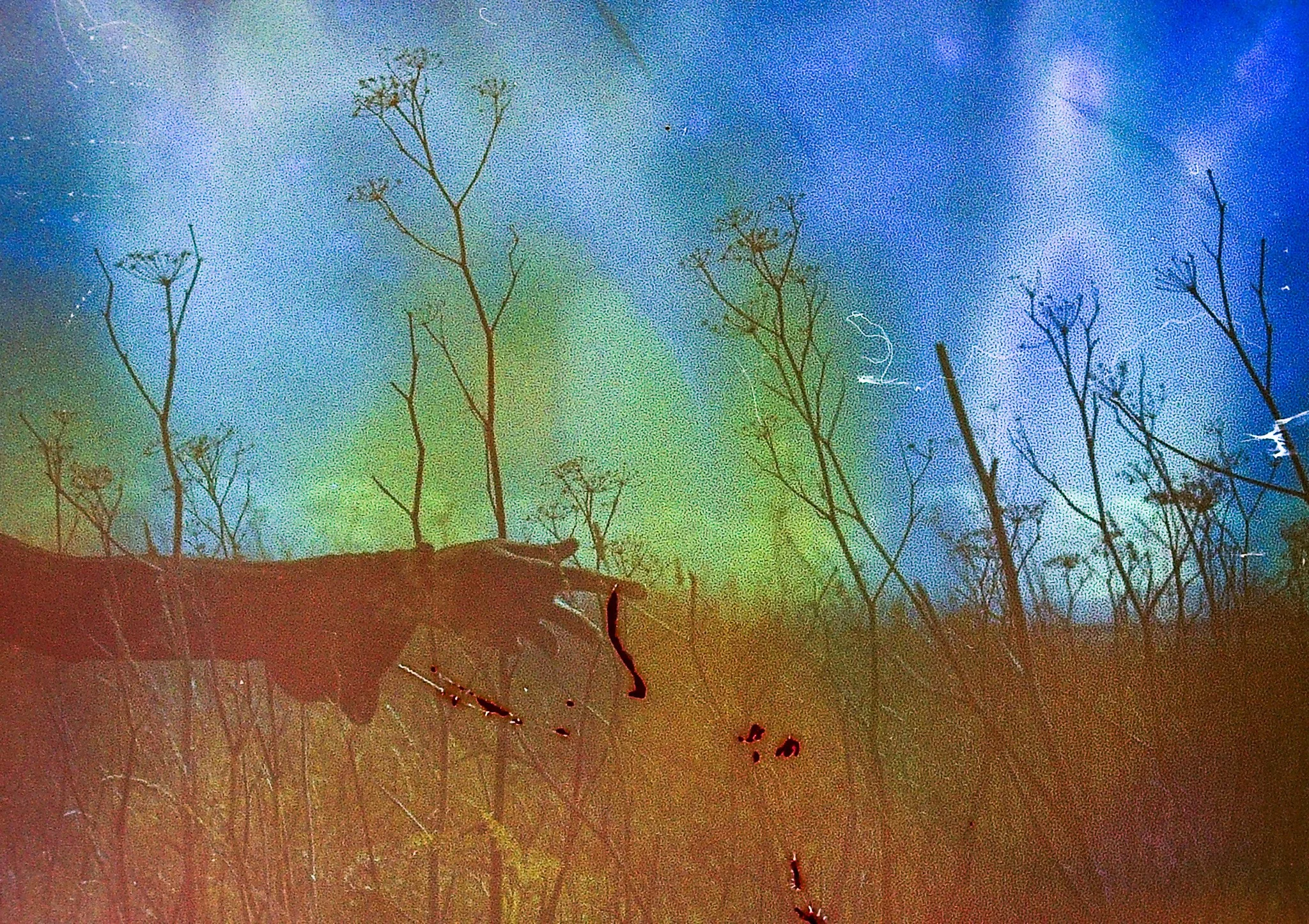 PICT0244.jpg