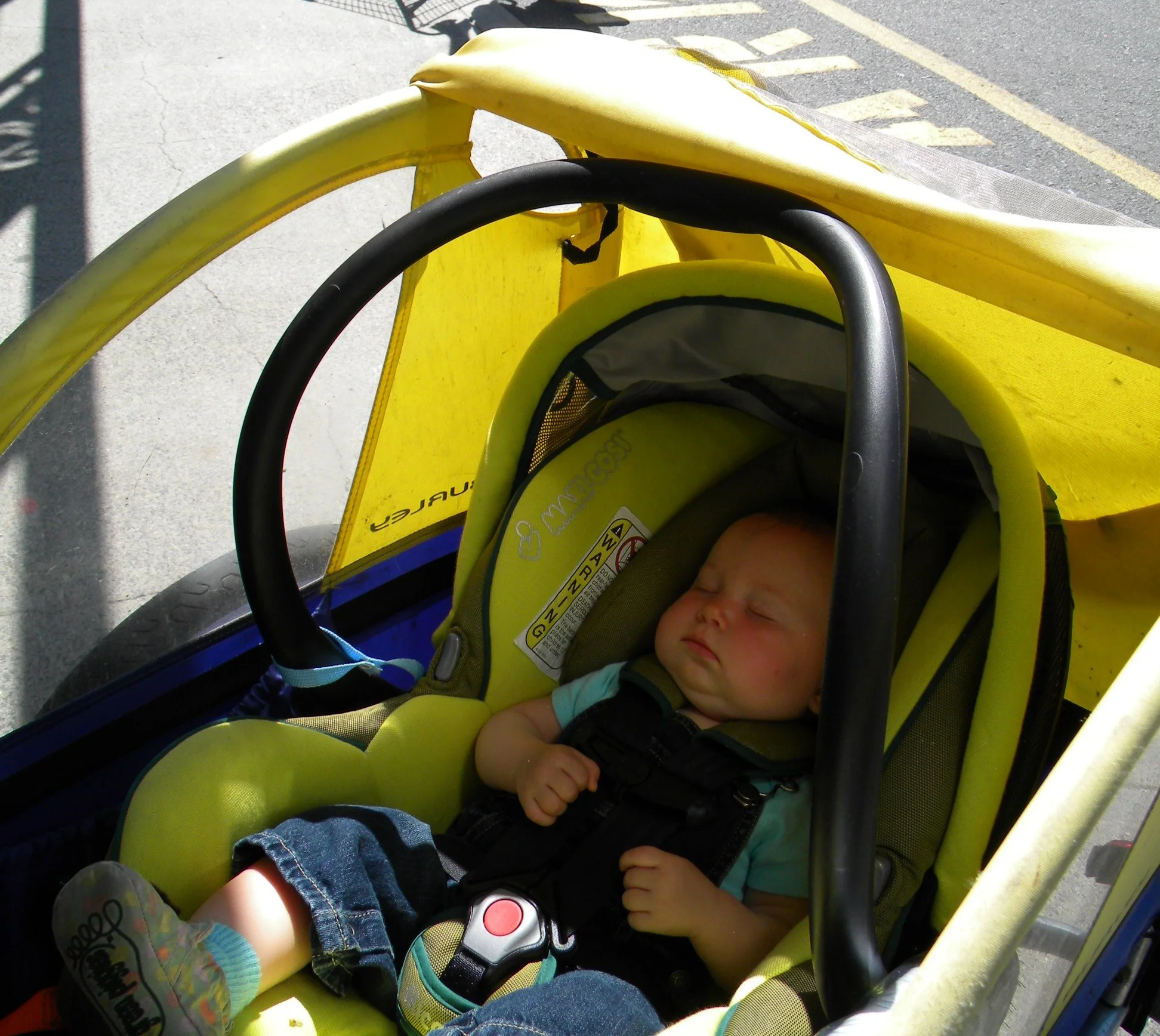 Baby Annika was in a bike trailer the first year of her life.
