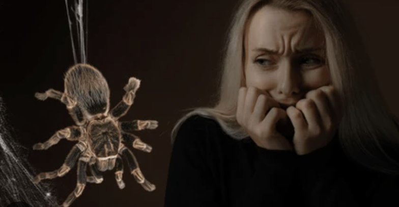 A young woman appears frightened, looking at a large spider on the wall.