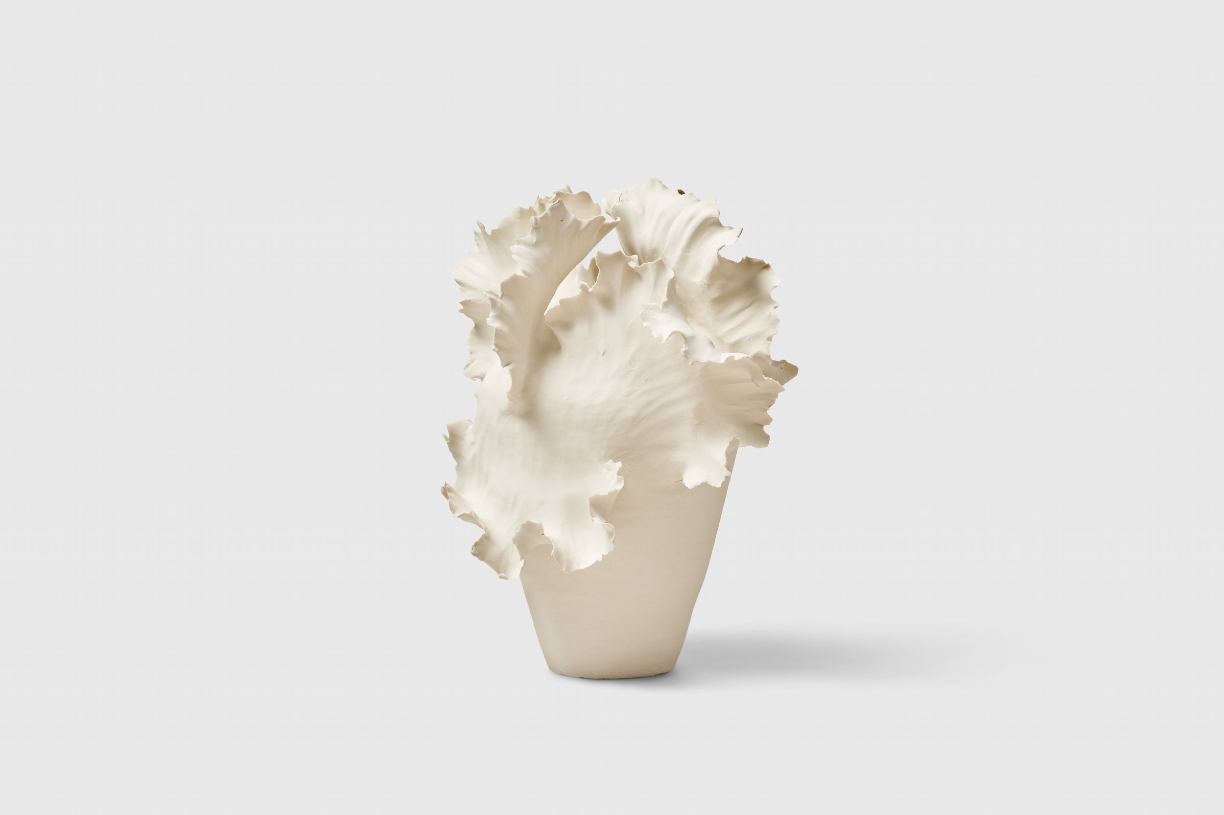 2025-09-30 - chala toprak21980.jpg