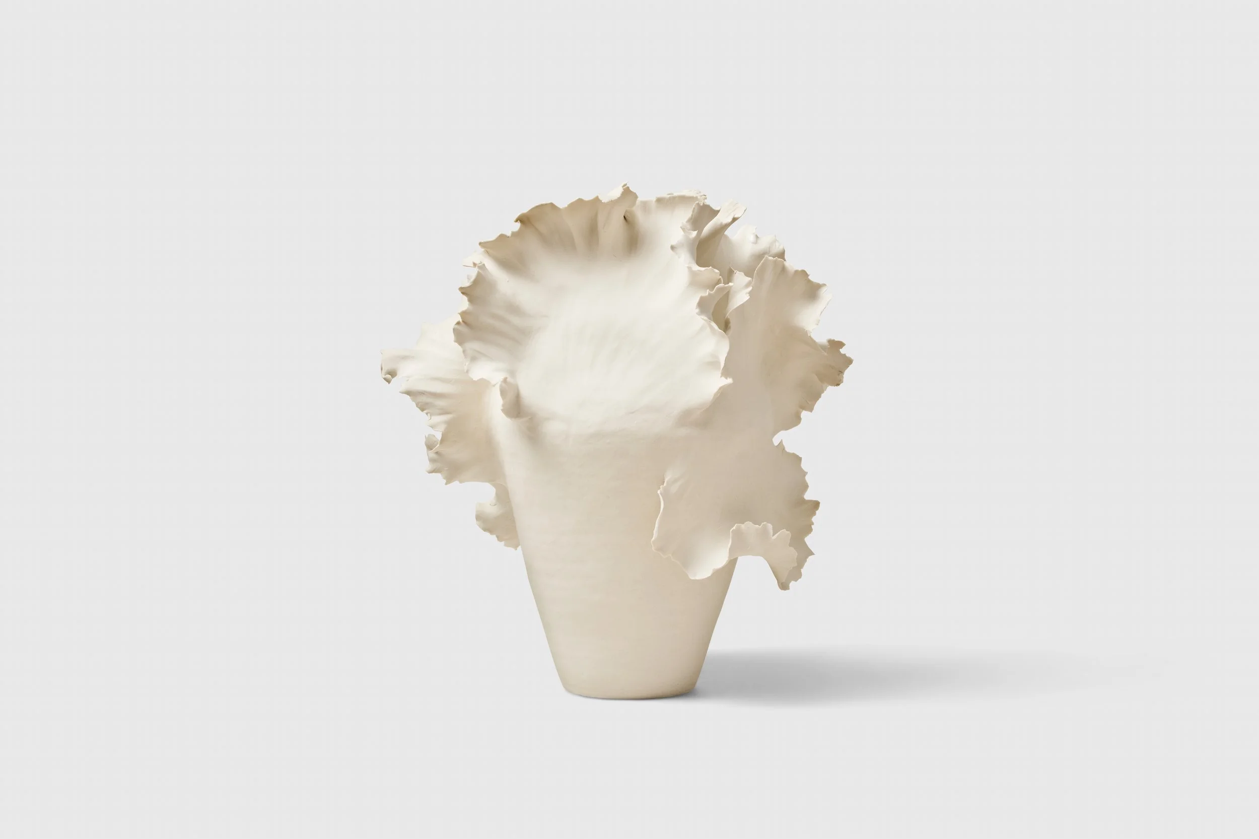 2025-09-30 - chala toprak21978.jpg