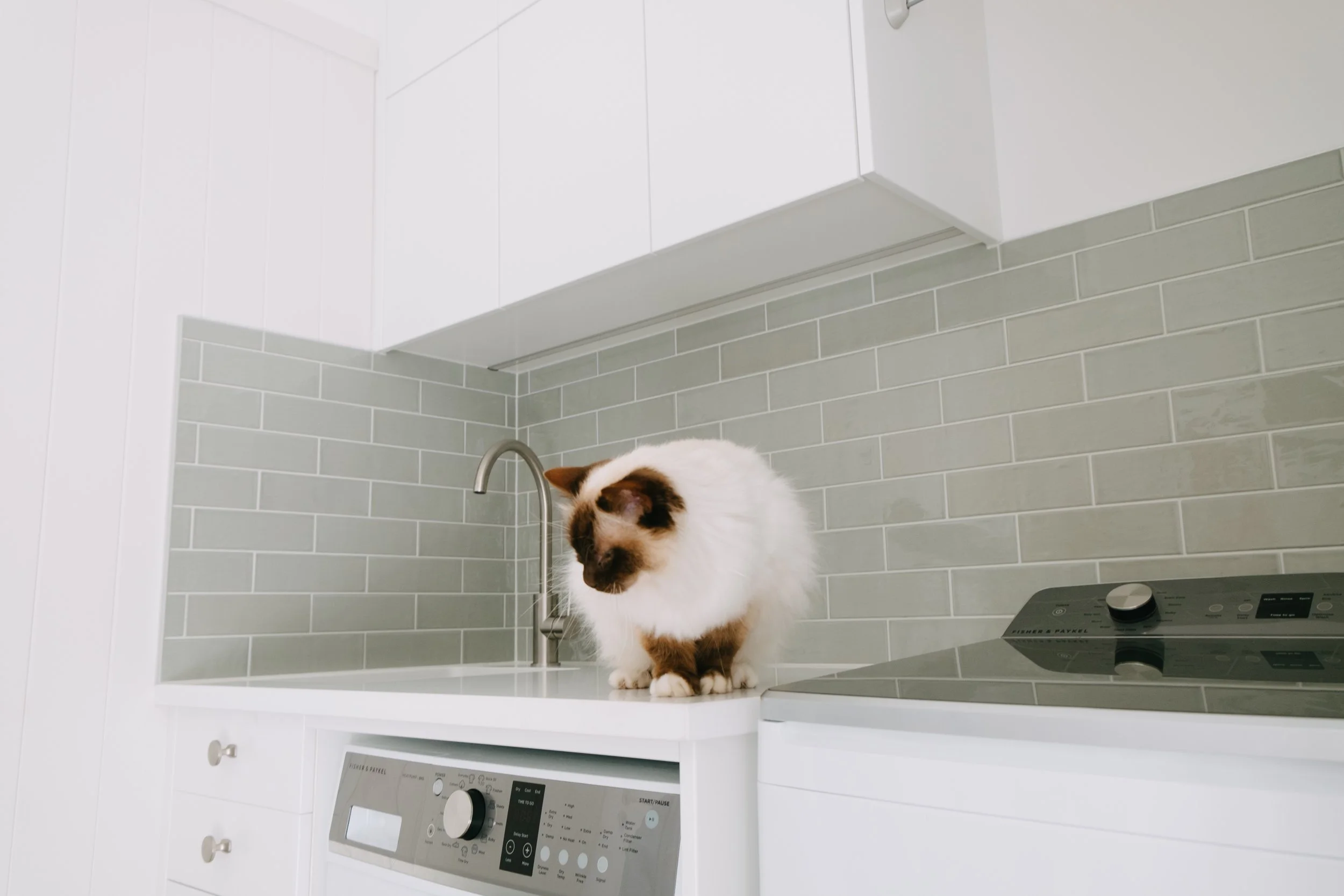 van dalen workshop & laundry-10.jpg