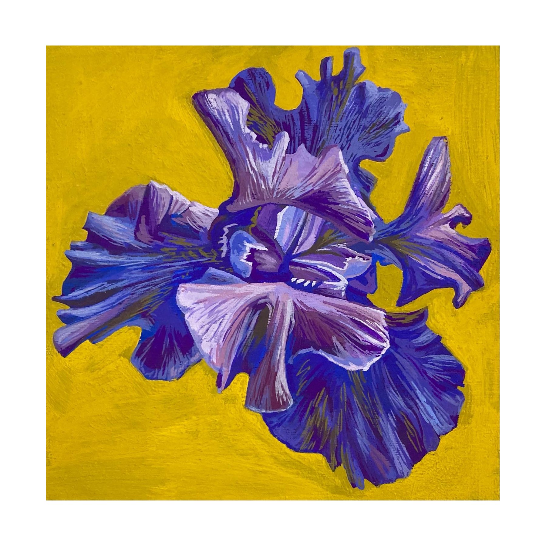 SlowBloominSummerPRINT6x6.jpg