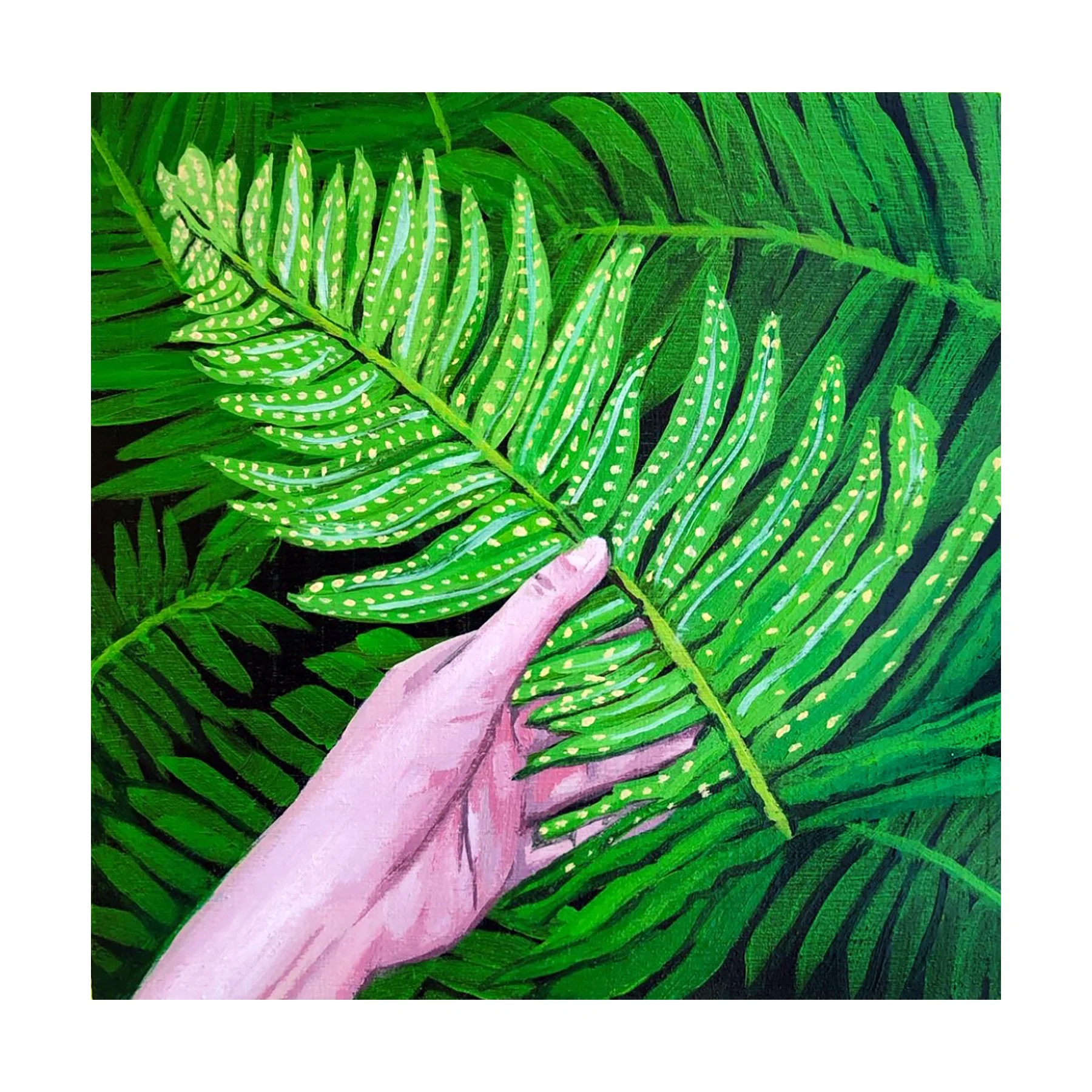 frondslikethese.jpg