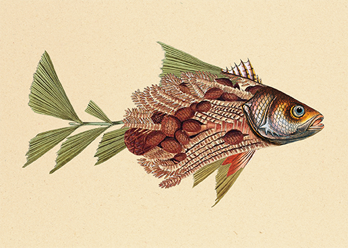 fossile-collage.png