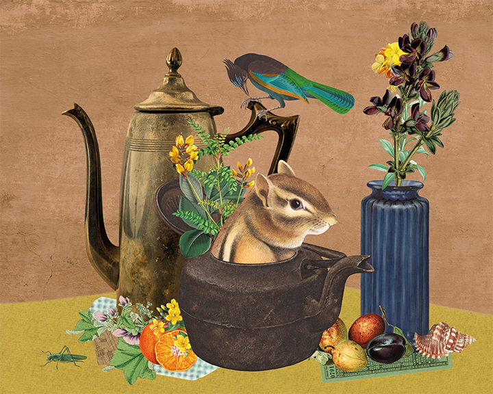 nature morte collage
