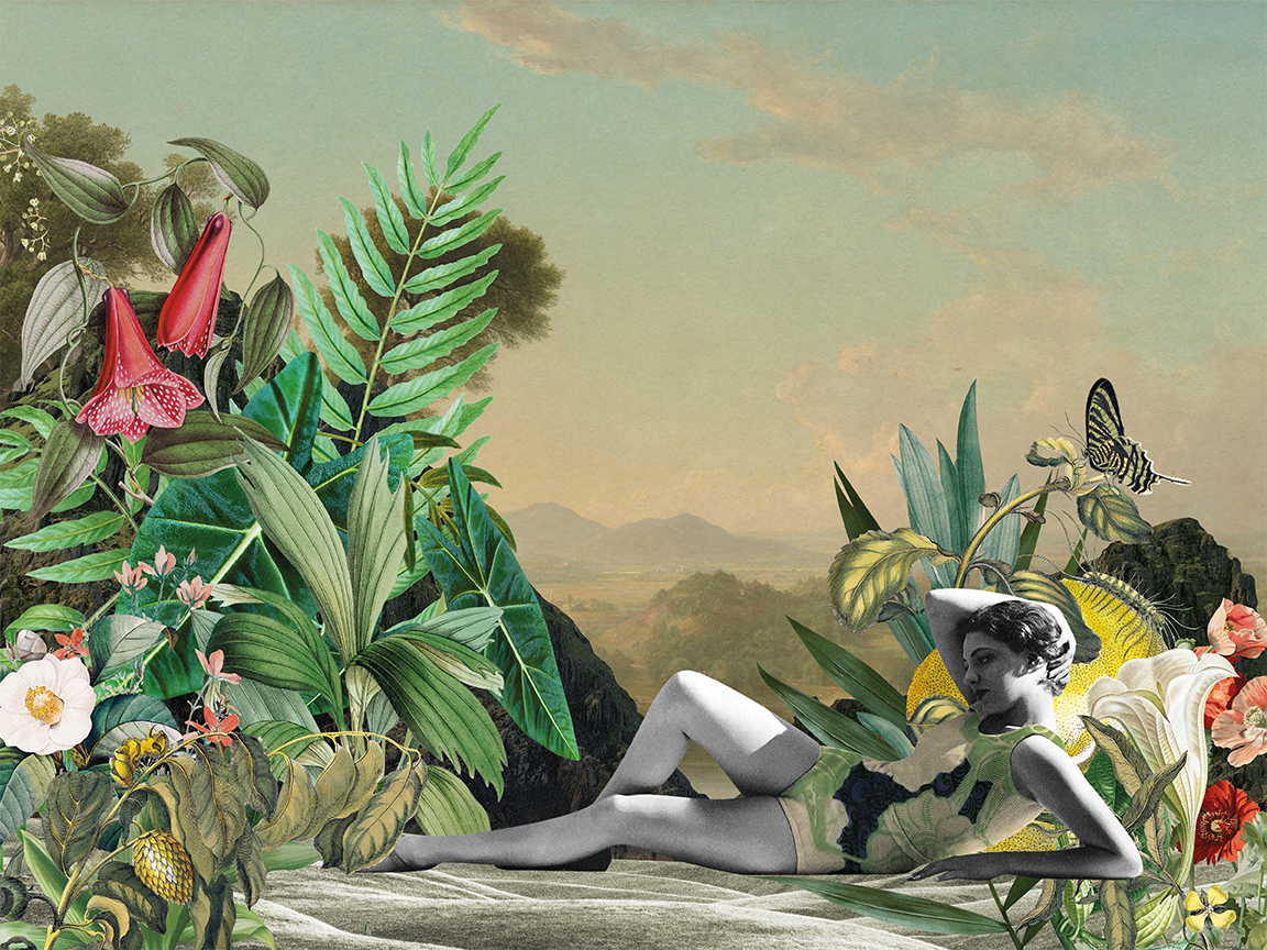 jardin.png