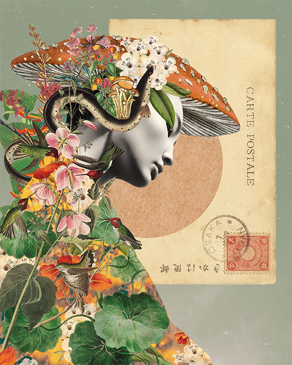 mycelium-collage.png