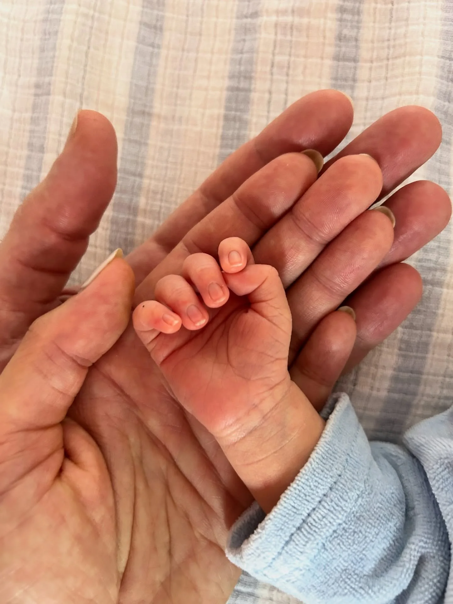 Baby A is here! 🥹🥹

Alessandro Laval Castellani 🩵 was born on 29.04.26 with 3.325kgs and 49cm. 

He was born in a peaceful, loving, intimate little bubble, just like we wanted. 

Birth went extremely well, in 12 hours and 6 pushes he was out. We h