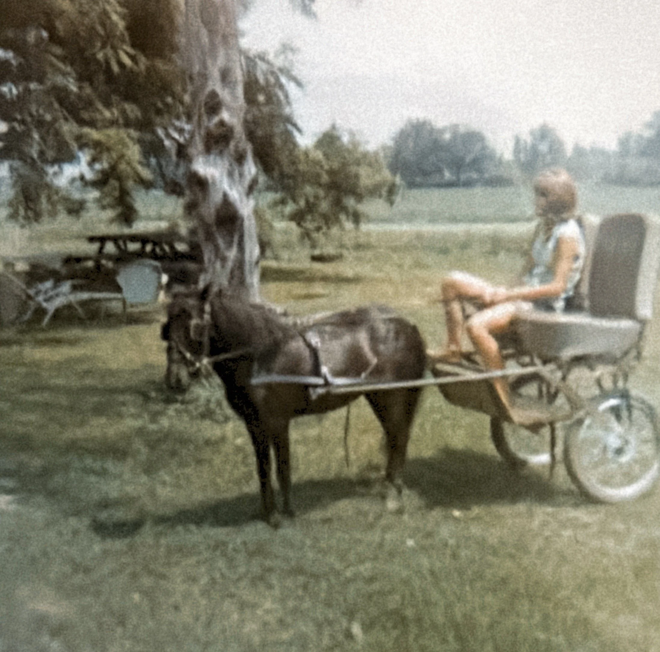 Farm - 002.JPG