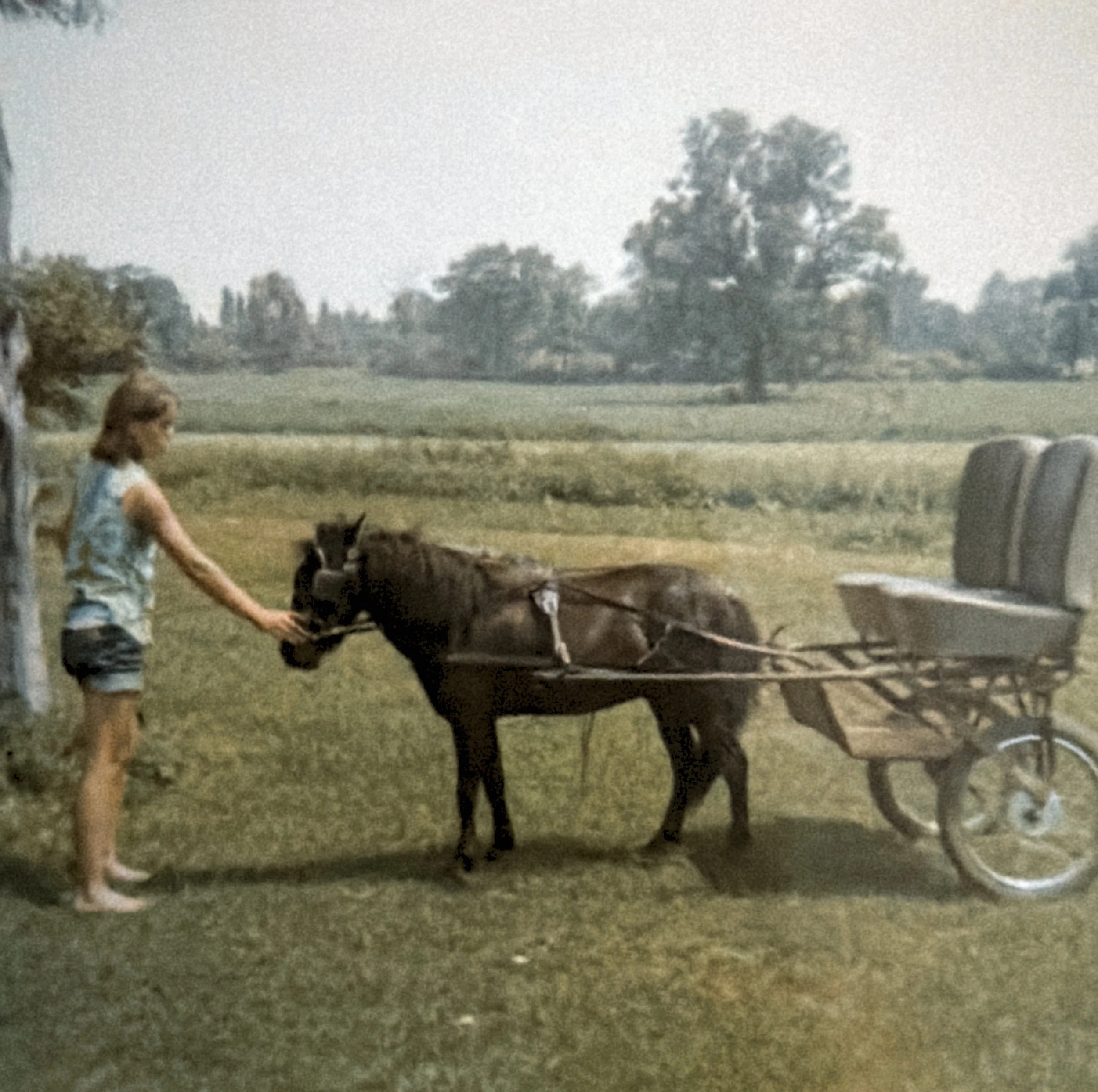 Farm - 001.JPG