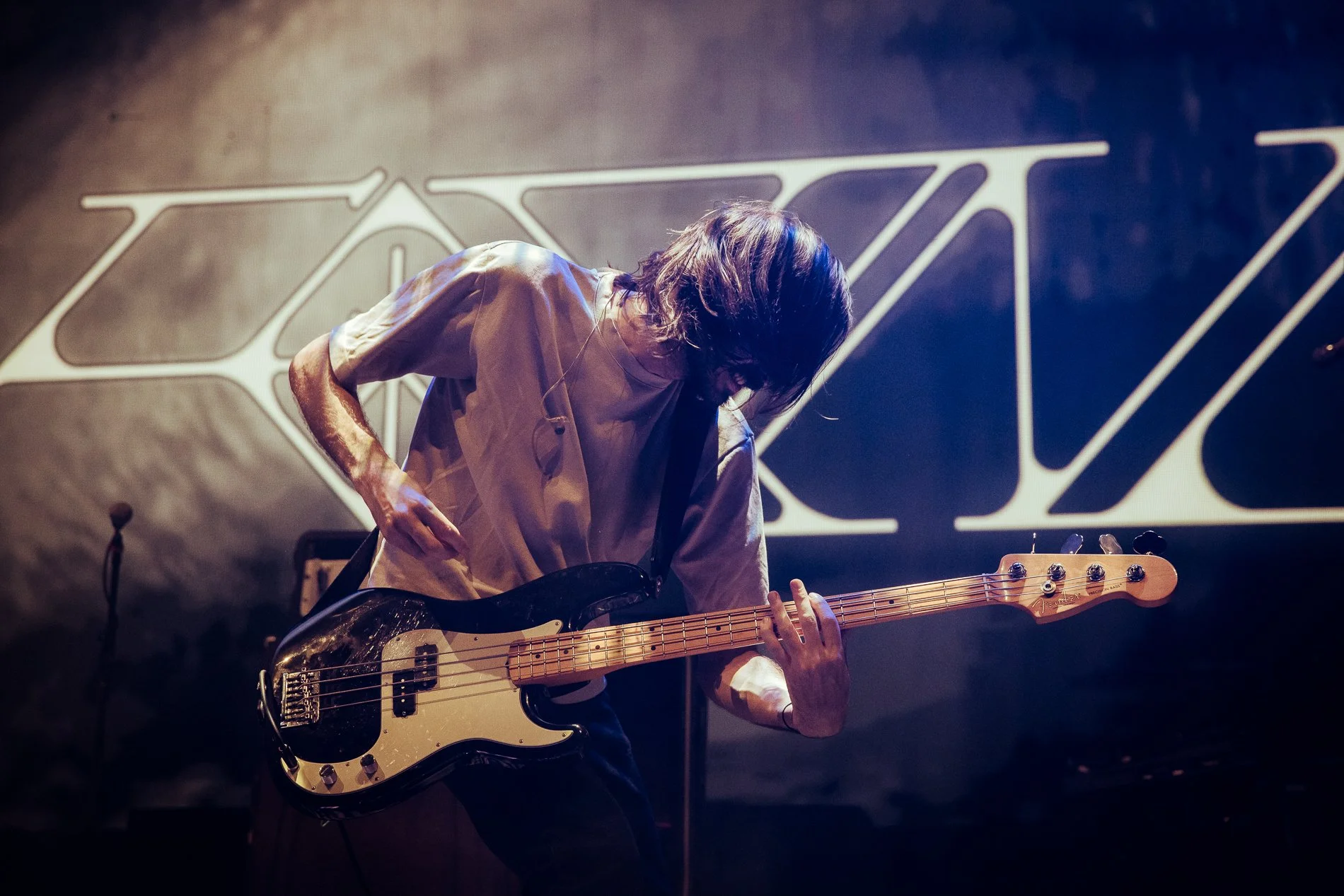 Foxing-02.jpg