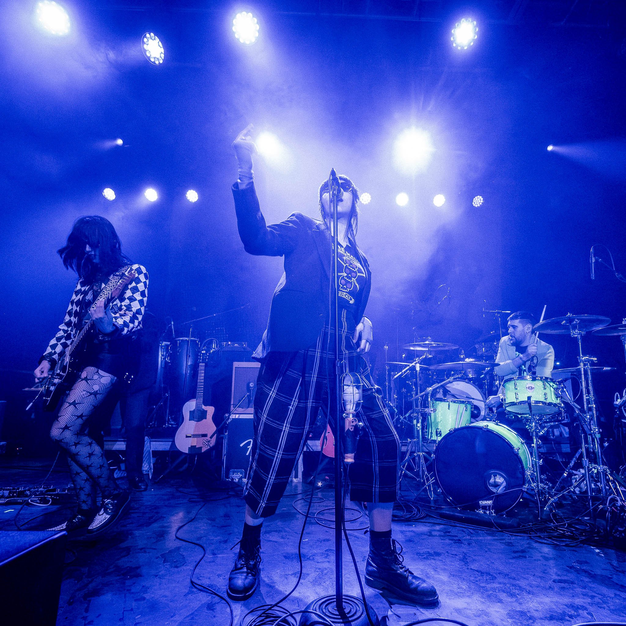 20260225 - Puzzled Panther -1.jpg