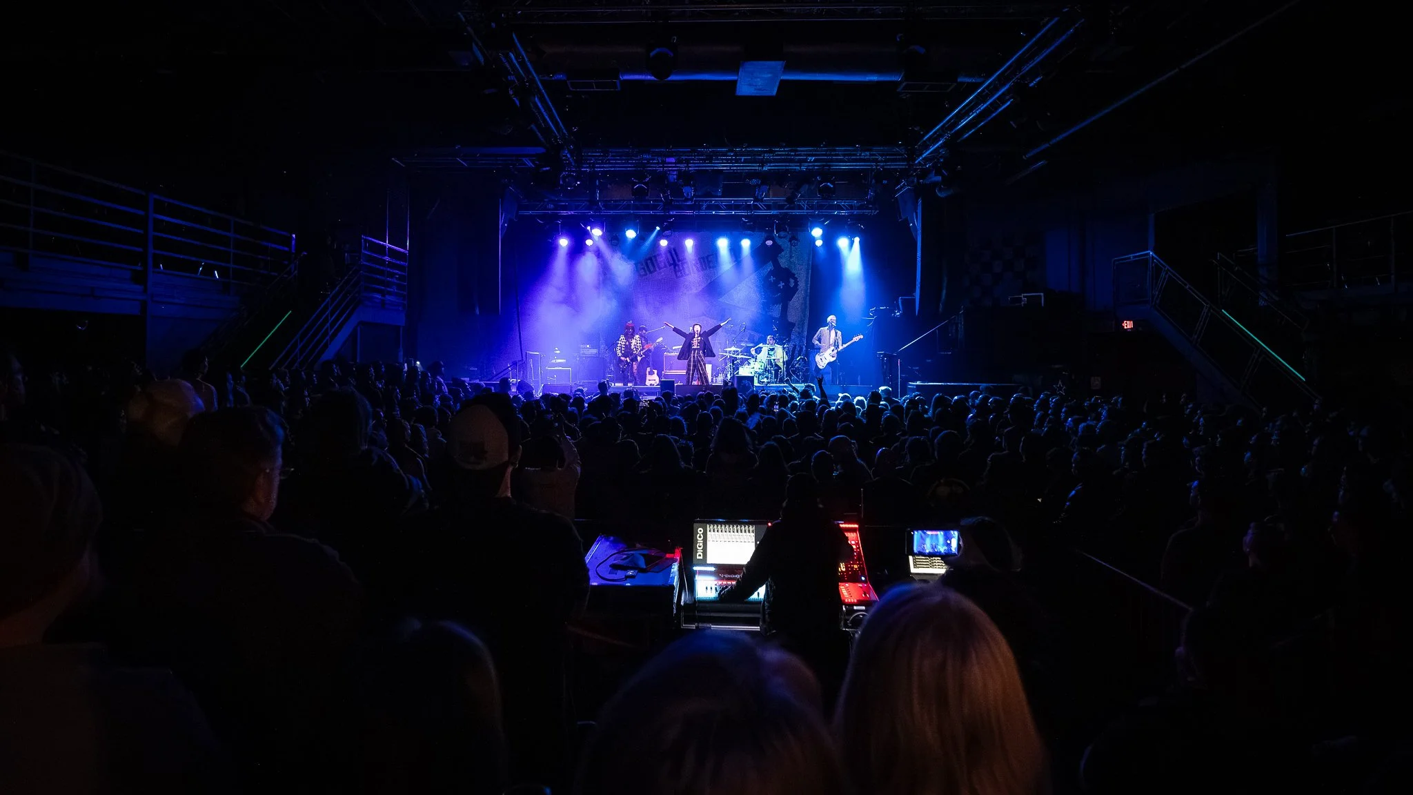 20260225 - Puzzled Panther -12.jpg