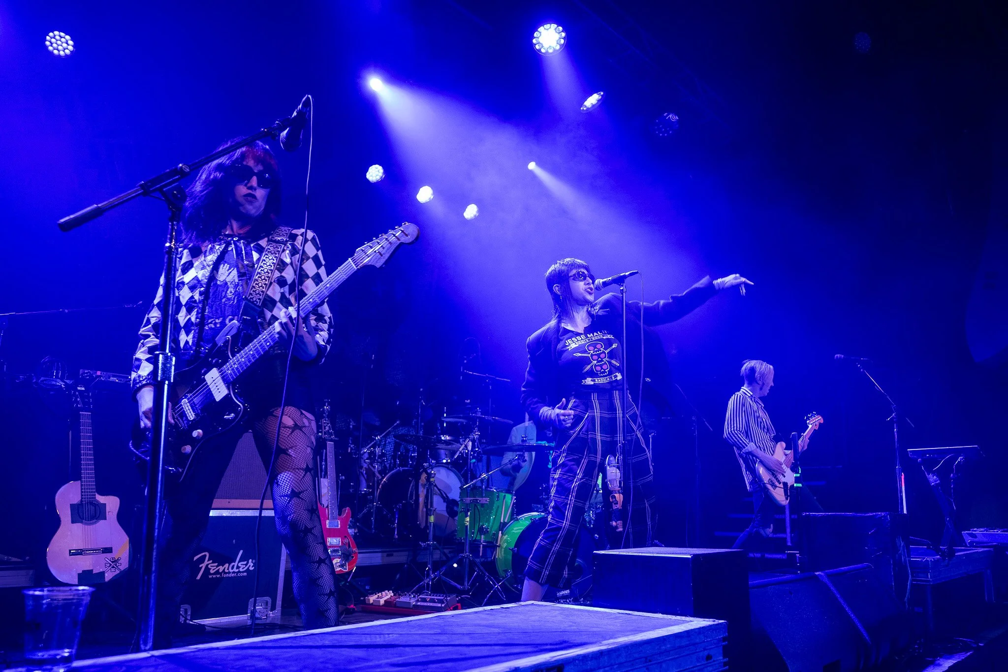 20260225 - Puzzled Panther -2.jpg