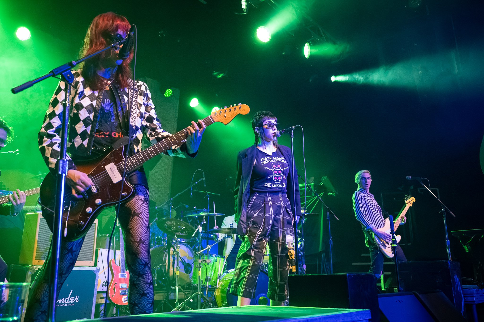 20260225 - Puzzled Panther -4.jpg