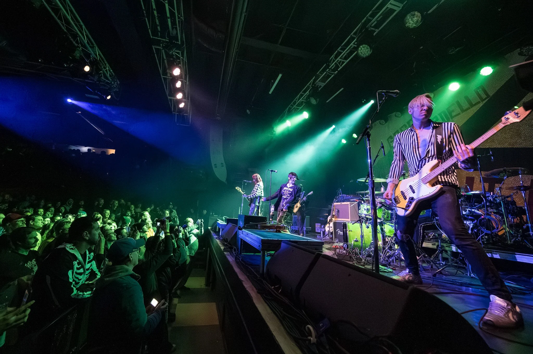 20260225 - Puzzled Panther -5.jpg