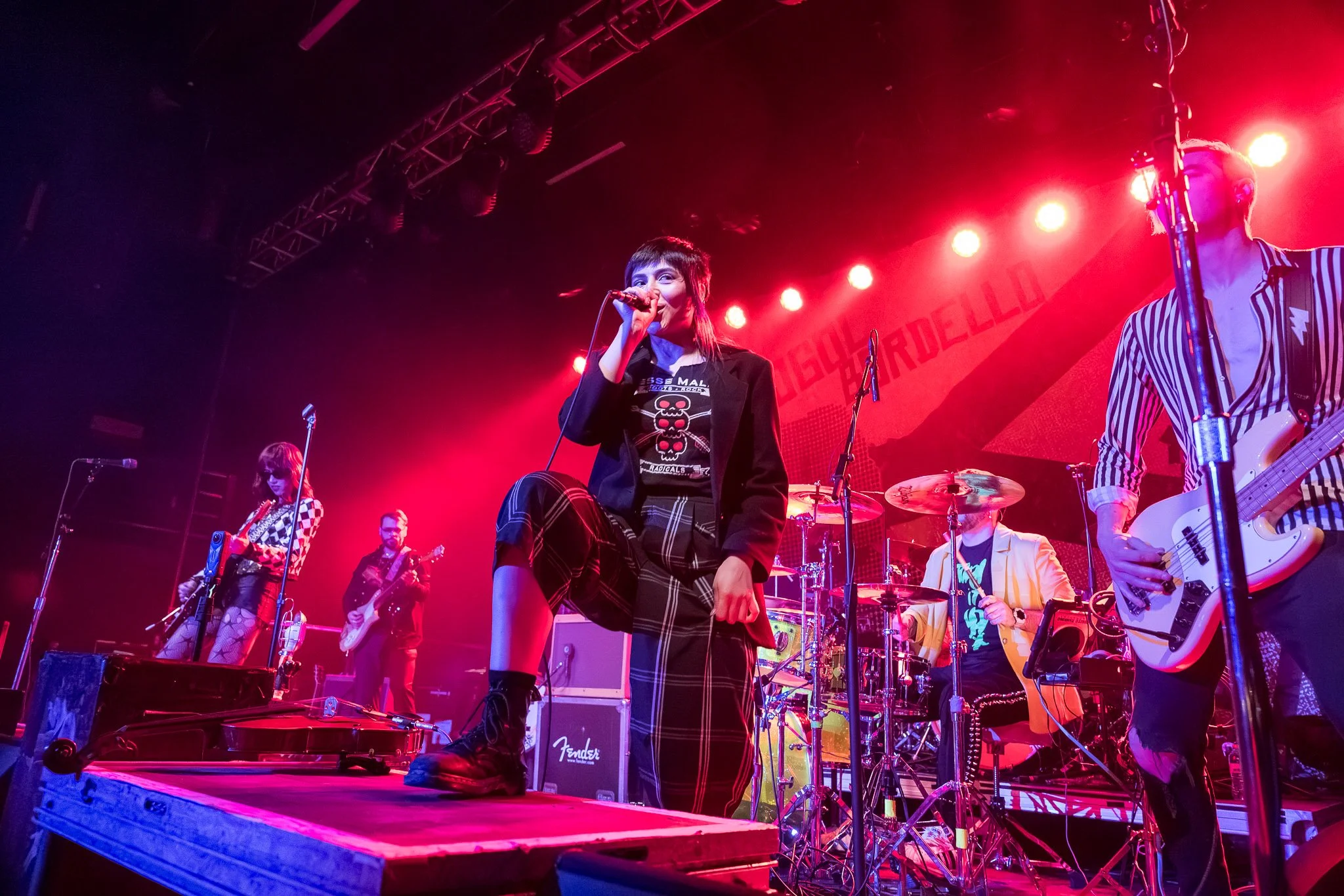 20260225 - Puzzled Panther -7.jpg