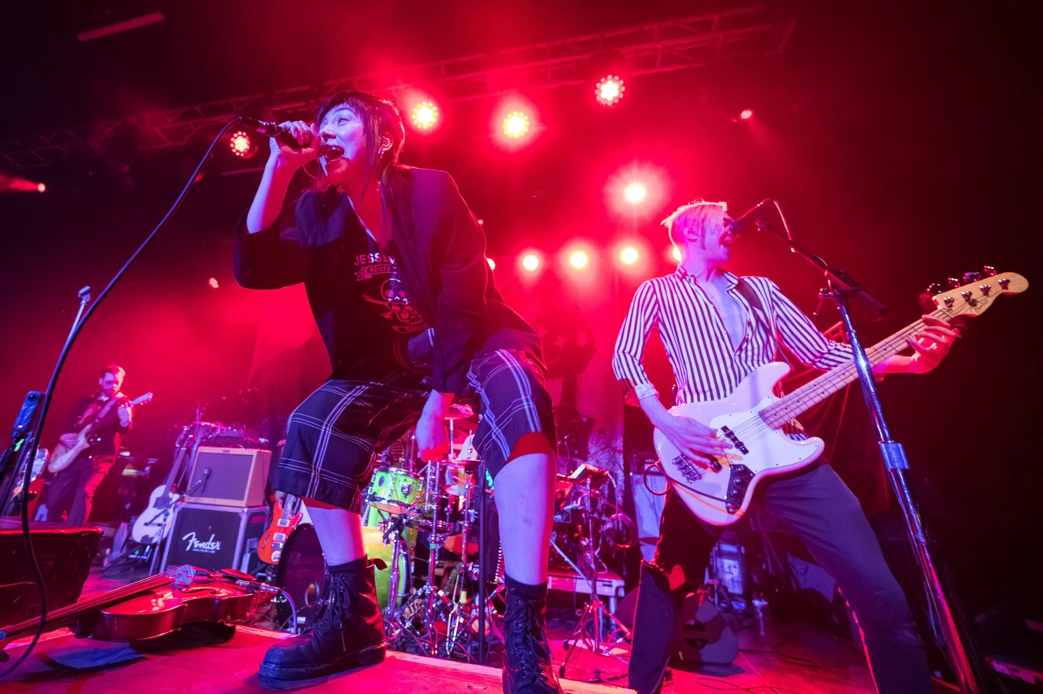 20260225 - Puzzled Panther -8.jpg