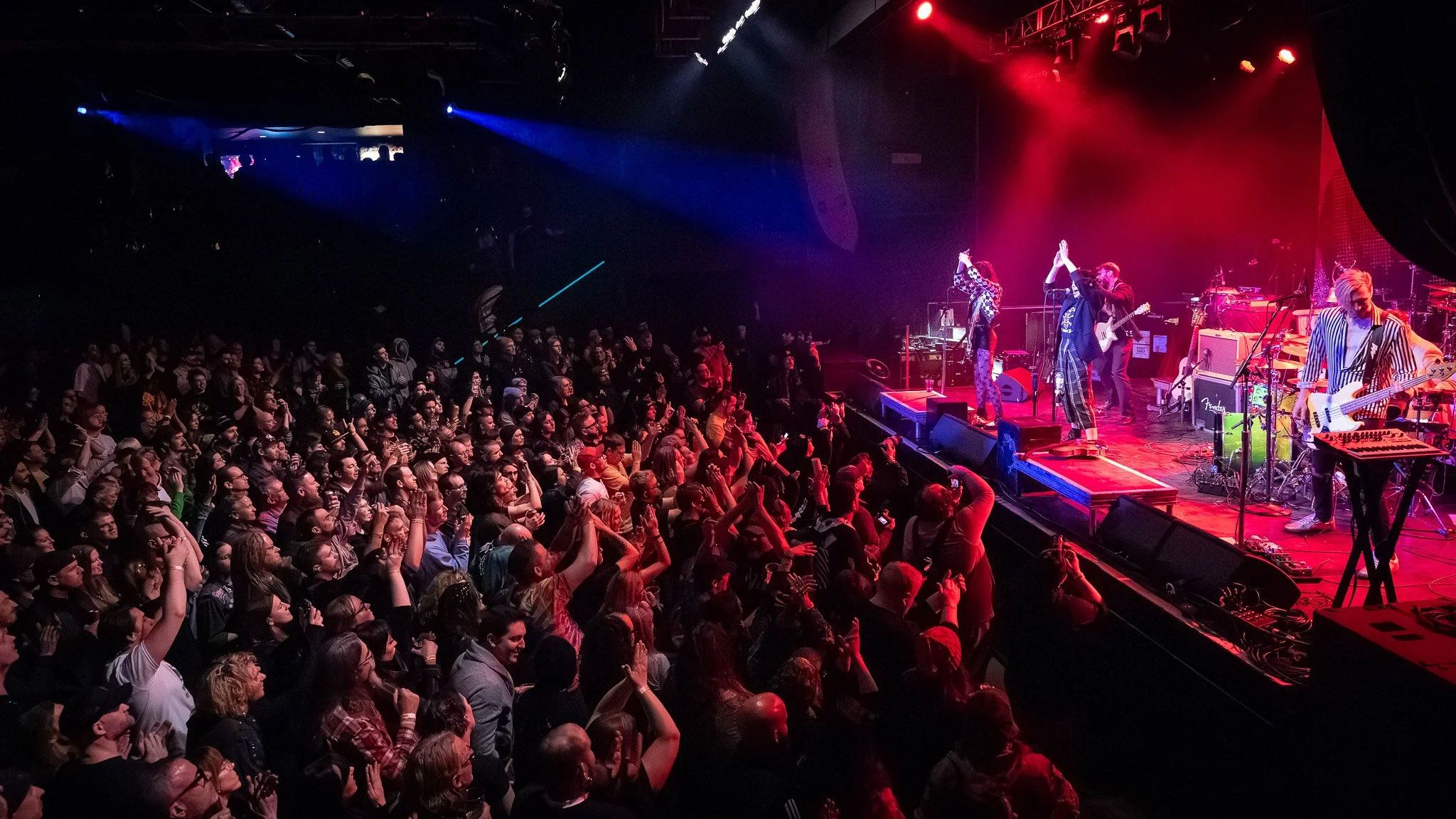 20260225 - Puzzled Panther -9.jpg