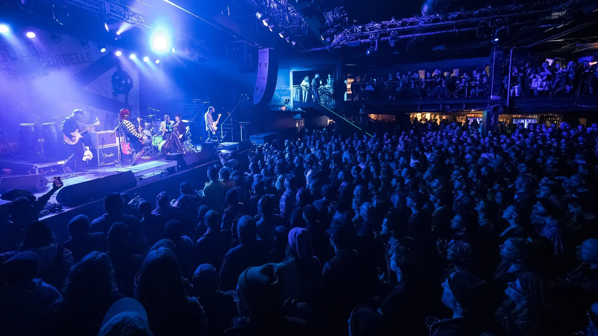 20260225 - Puzzled Panther -11.jpg