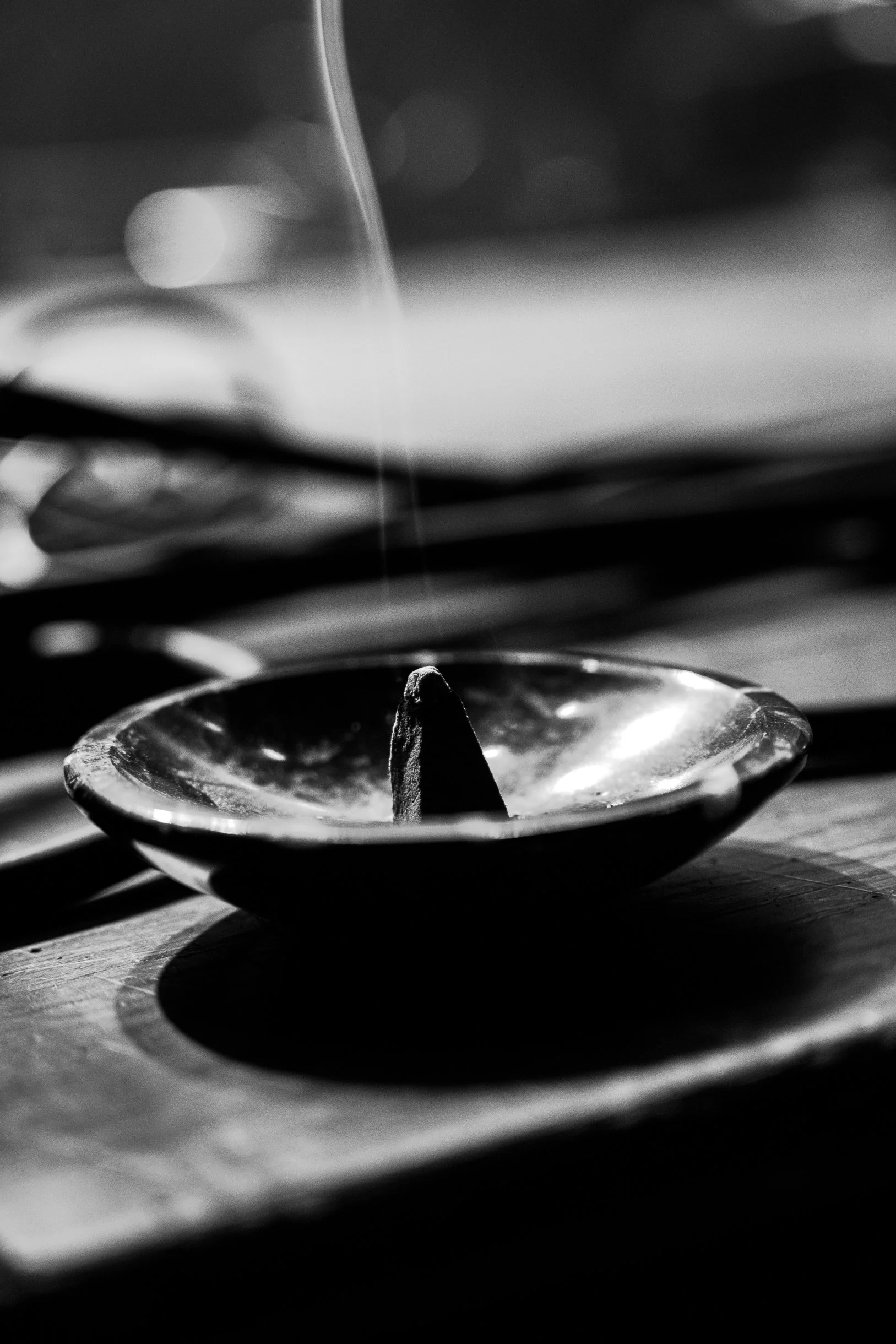 Emperor (1 of 64).jpg