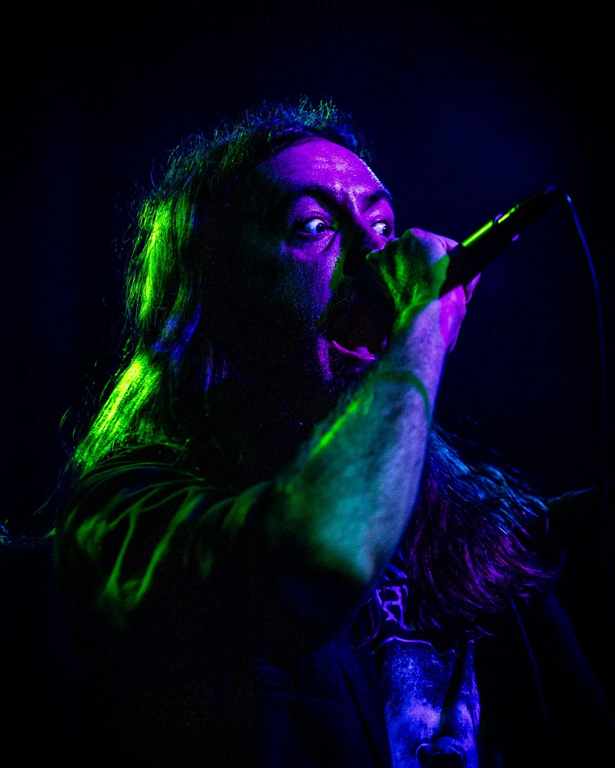 btbam-7.jpg