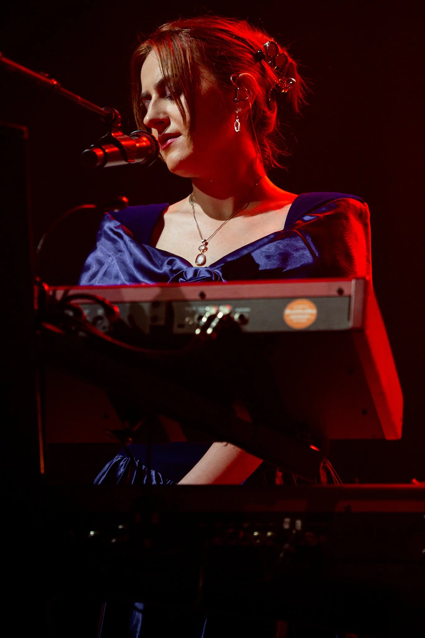 the last dinner party saint paul concert james perovich (4).jpg