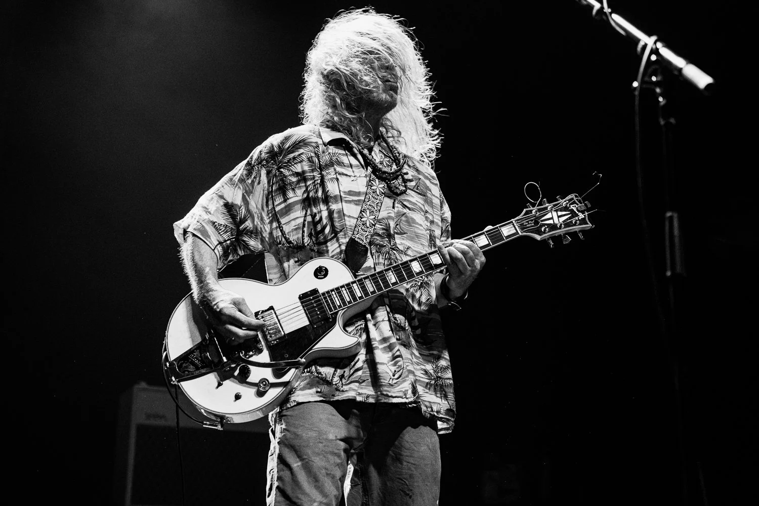 kurtvile-11.jpg