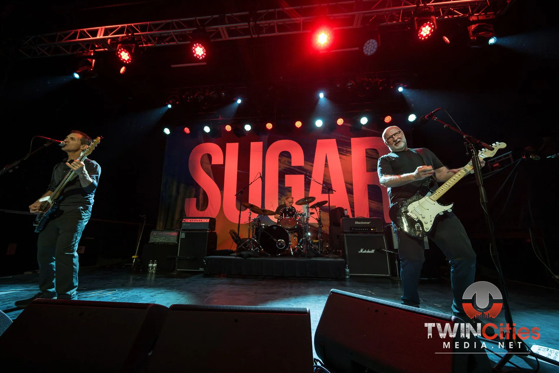 20260910 - Sugar -3.jpg