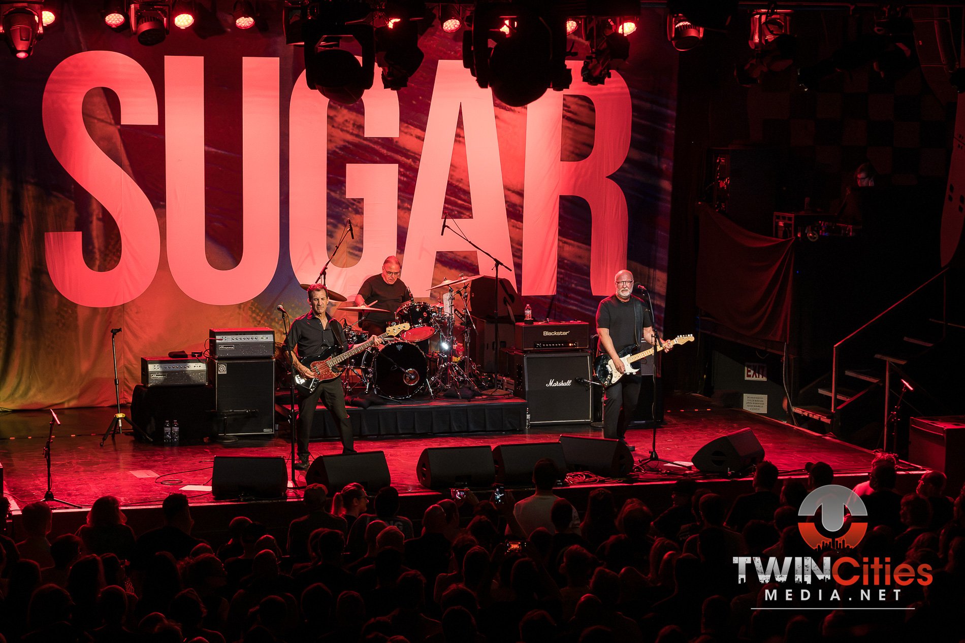 20260910 - Sugar -9.jpg