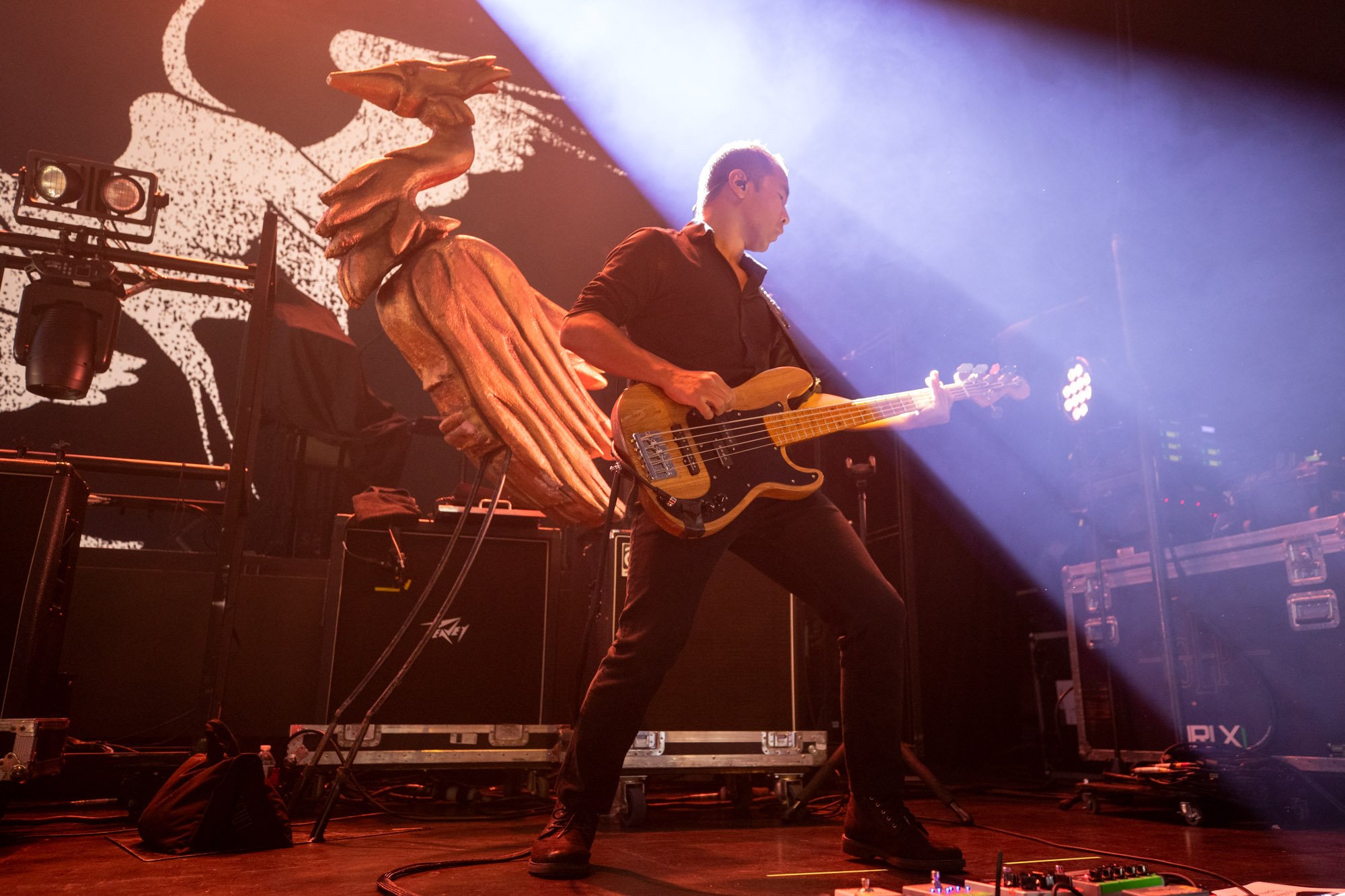 20261003-190124-Alcest-SS.jpg
