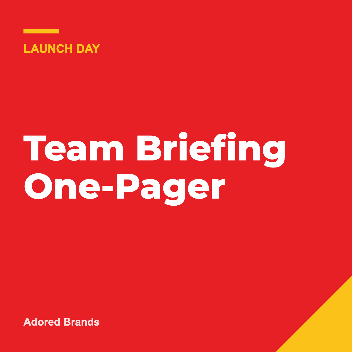 Team Briefing One-Pager