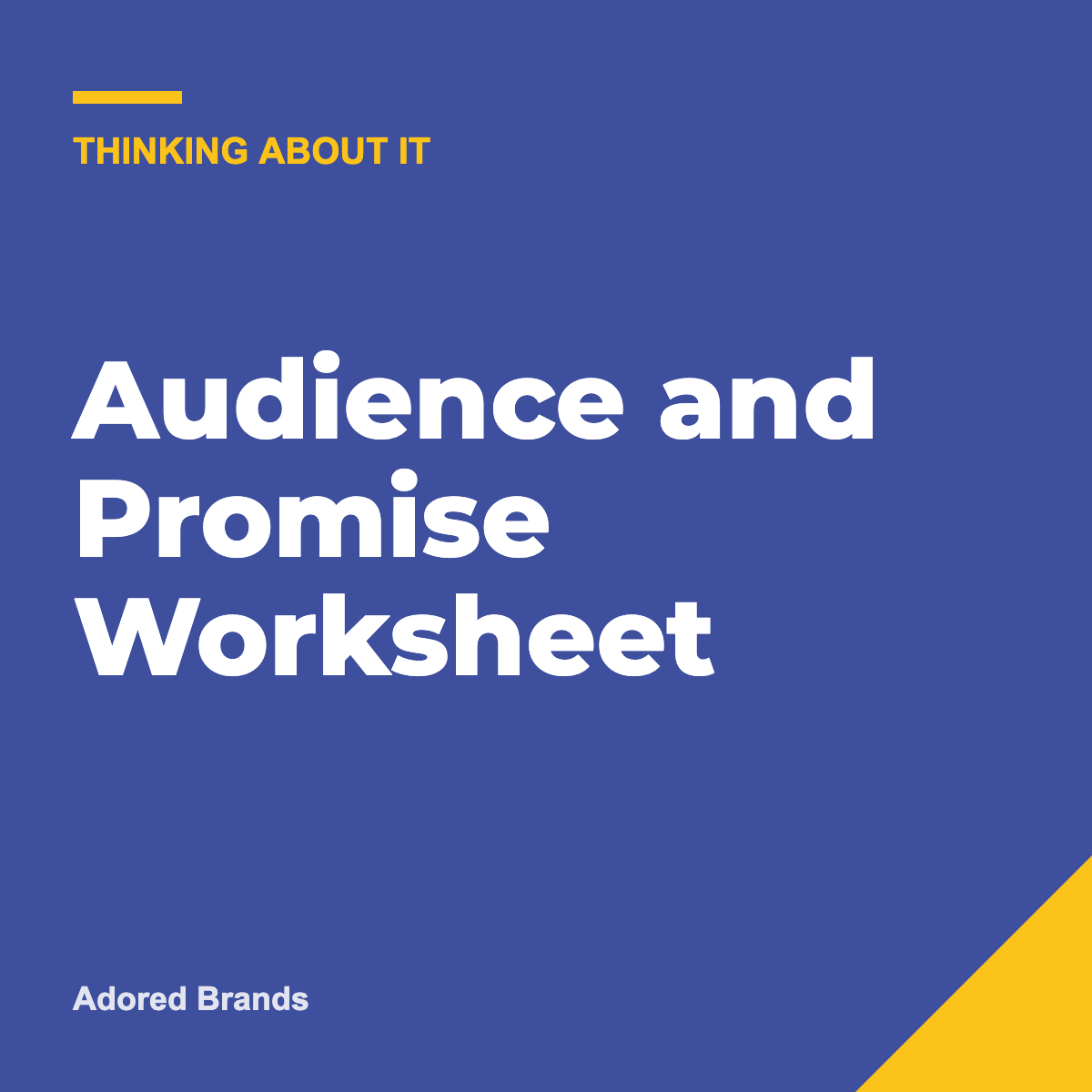 Audience and Promise Worksheet