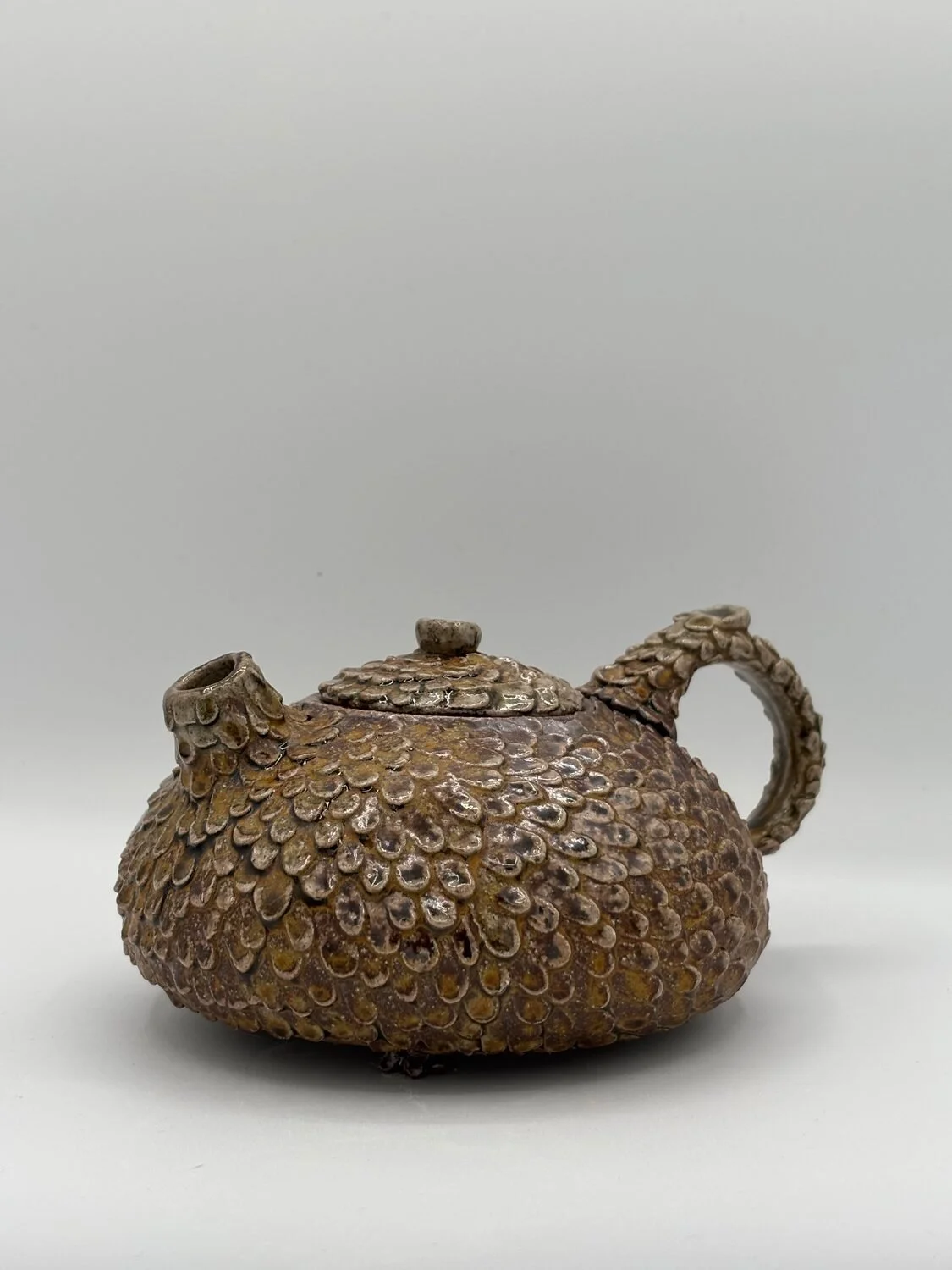 Saltz_H_FeatheredTeapot_MQn6G.jpg