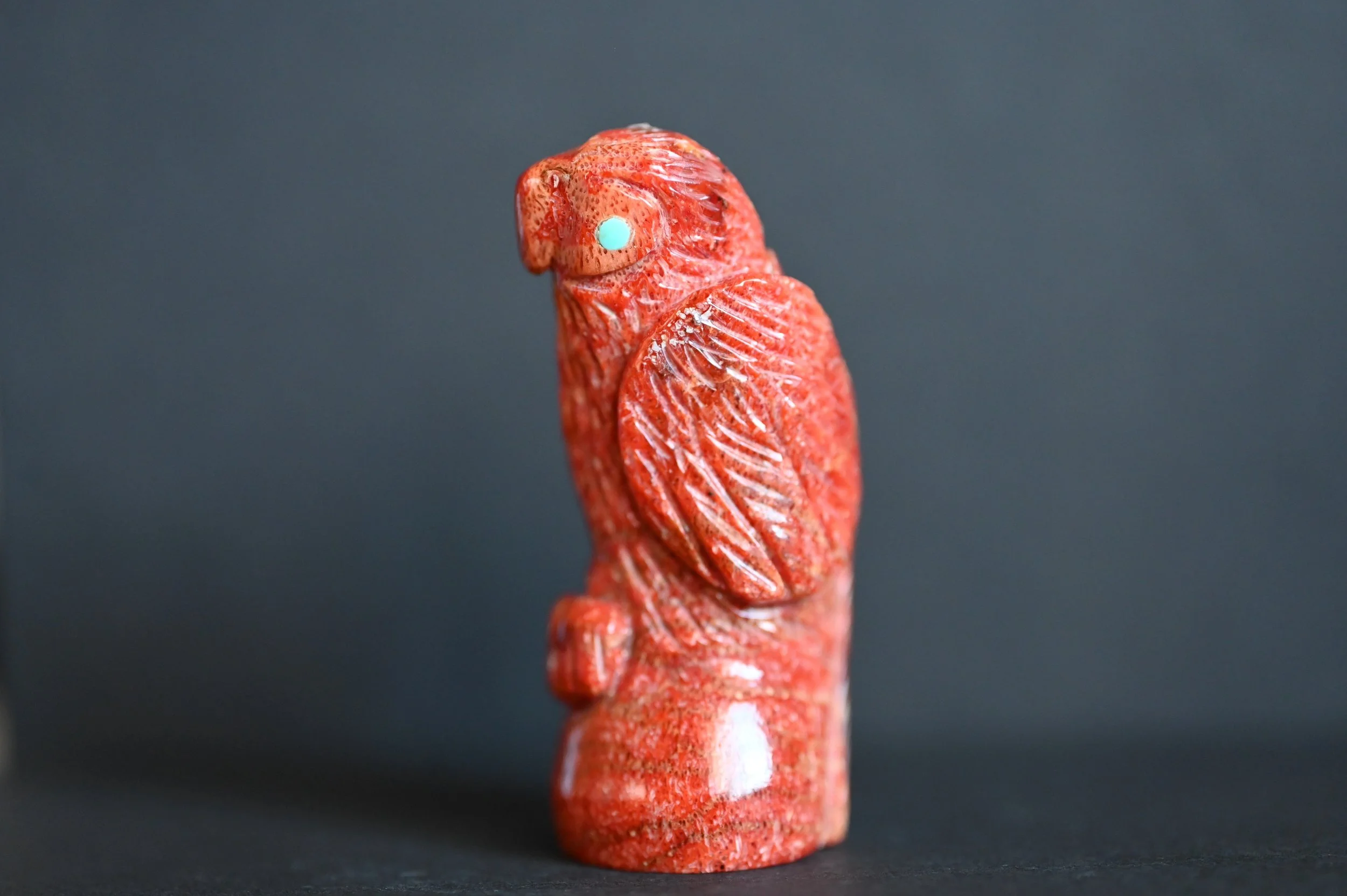 The Scarlet Squawker