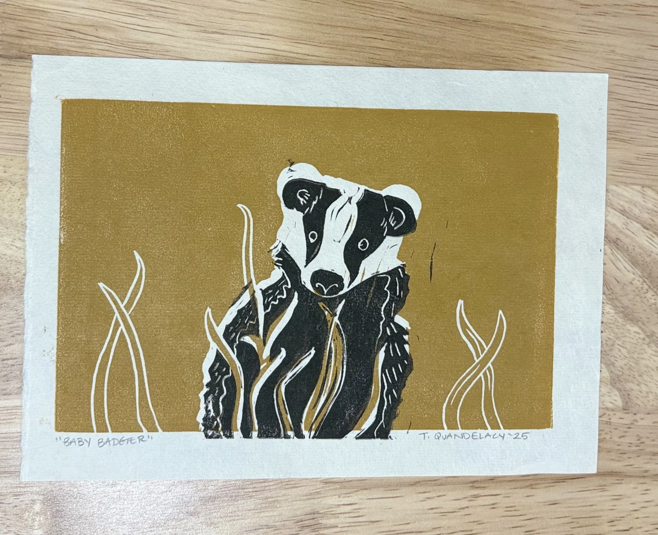 Baby badger