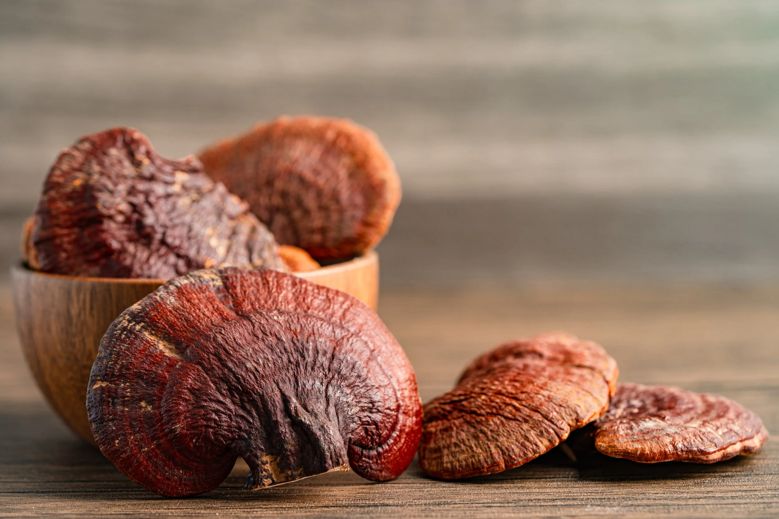 What reishi is and what's in it 