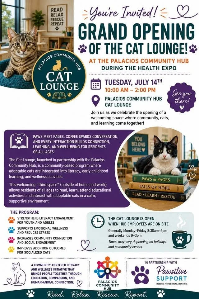 CAT LOUNGE &amp; HEALTH EXPO 
