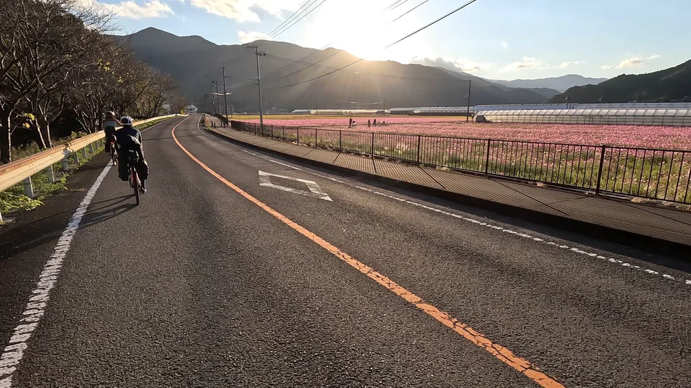 GPTempDownload 2.jpeg