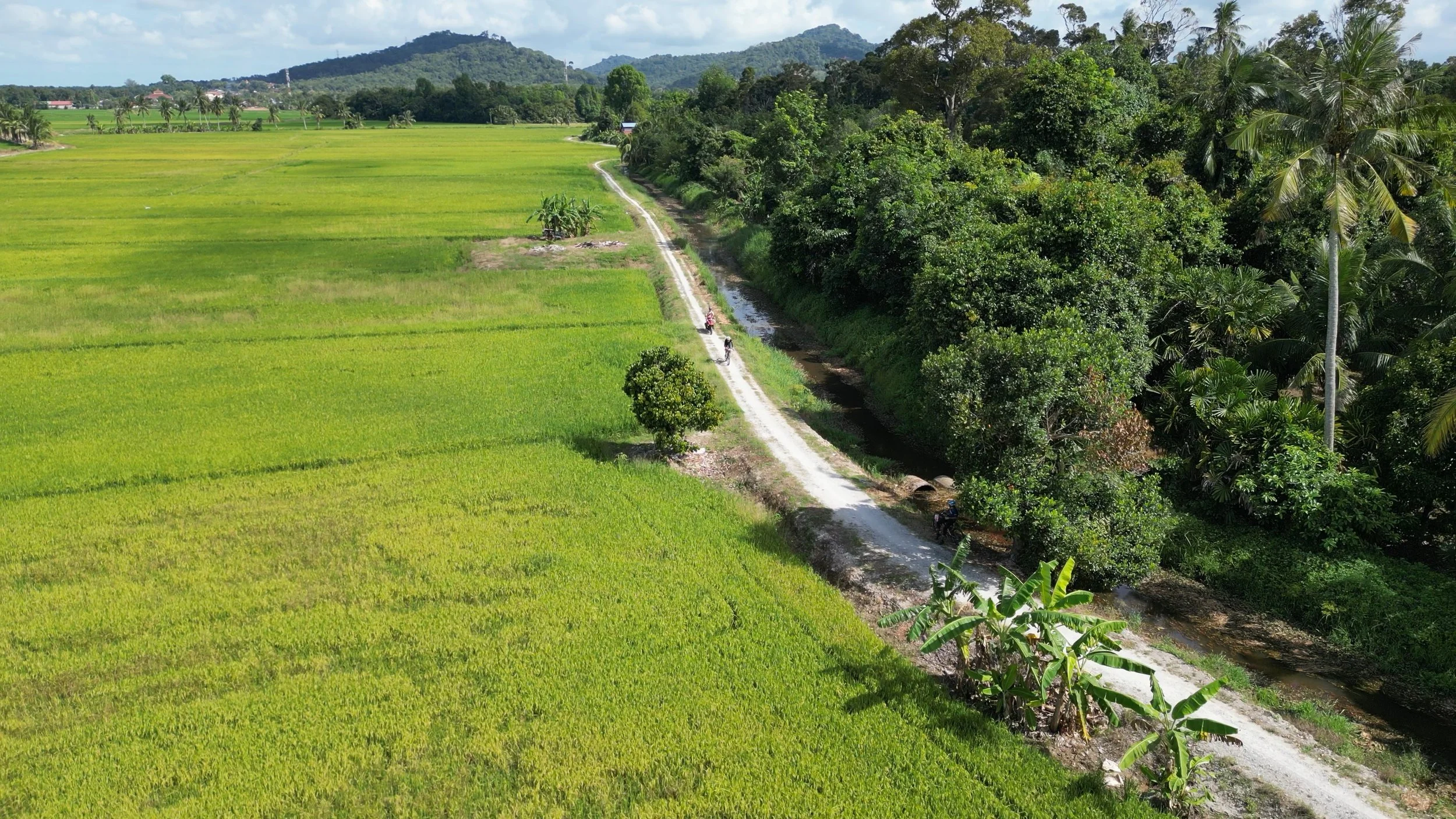 Young &amp; Dangerous Tour 2023 Part 2