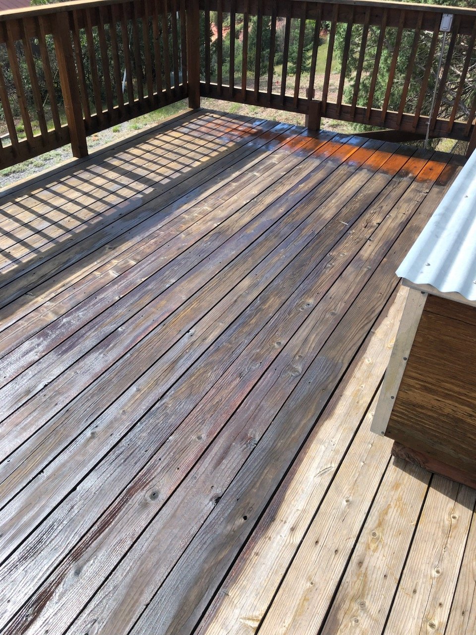 staining.jpg