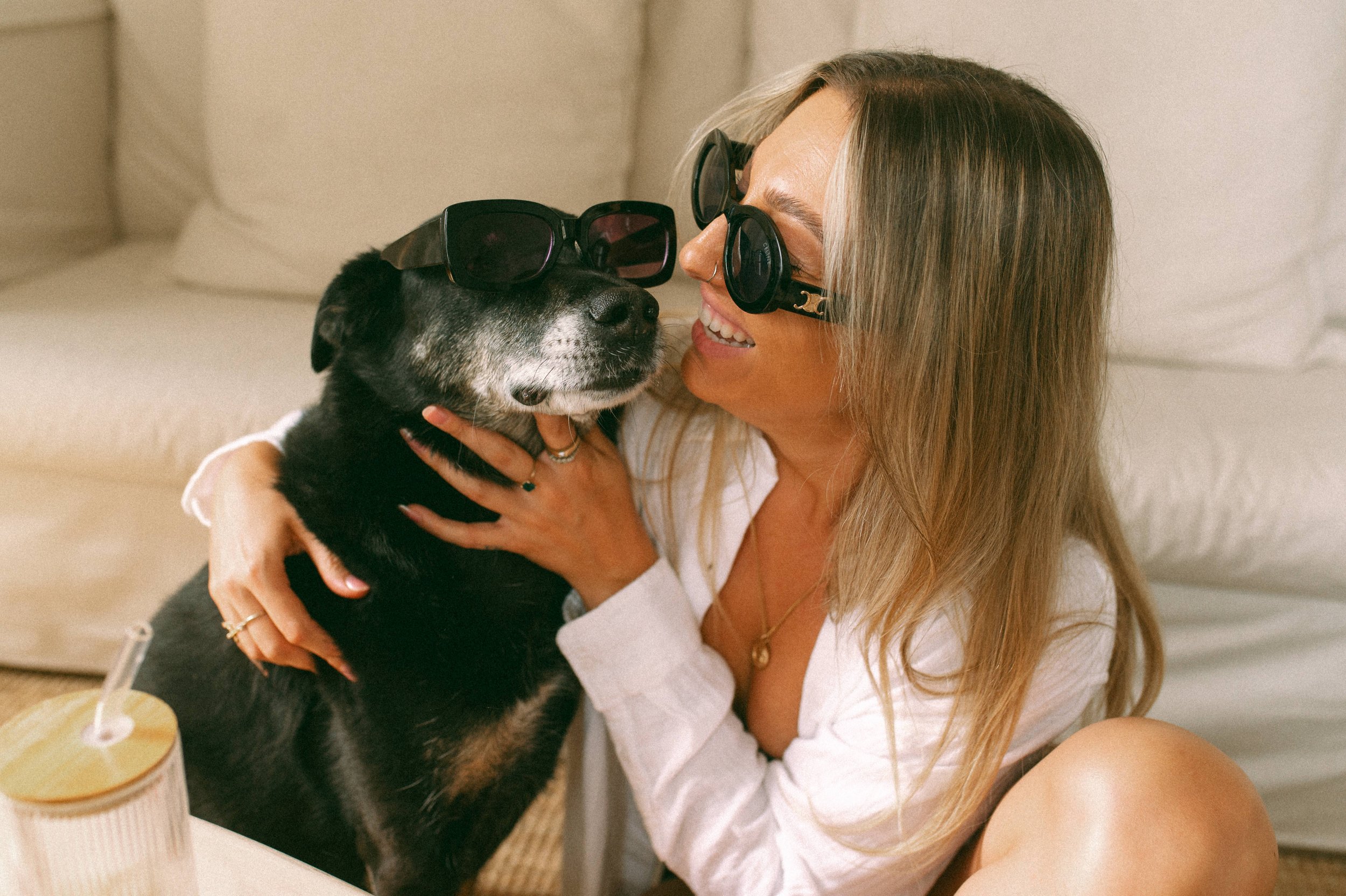 Golden Aging | senior pets