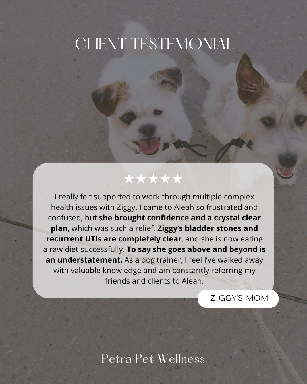 Petra+ Patient Spotlight-3.png