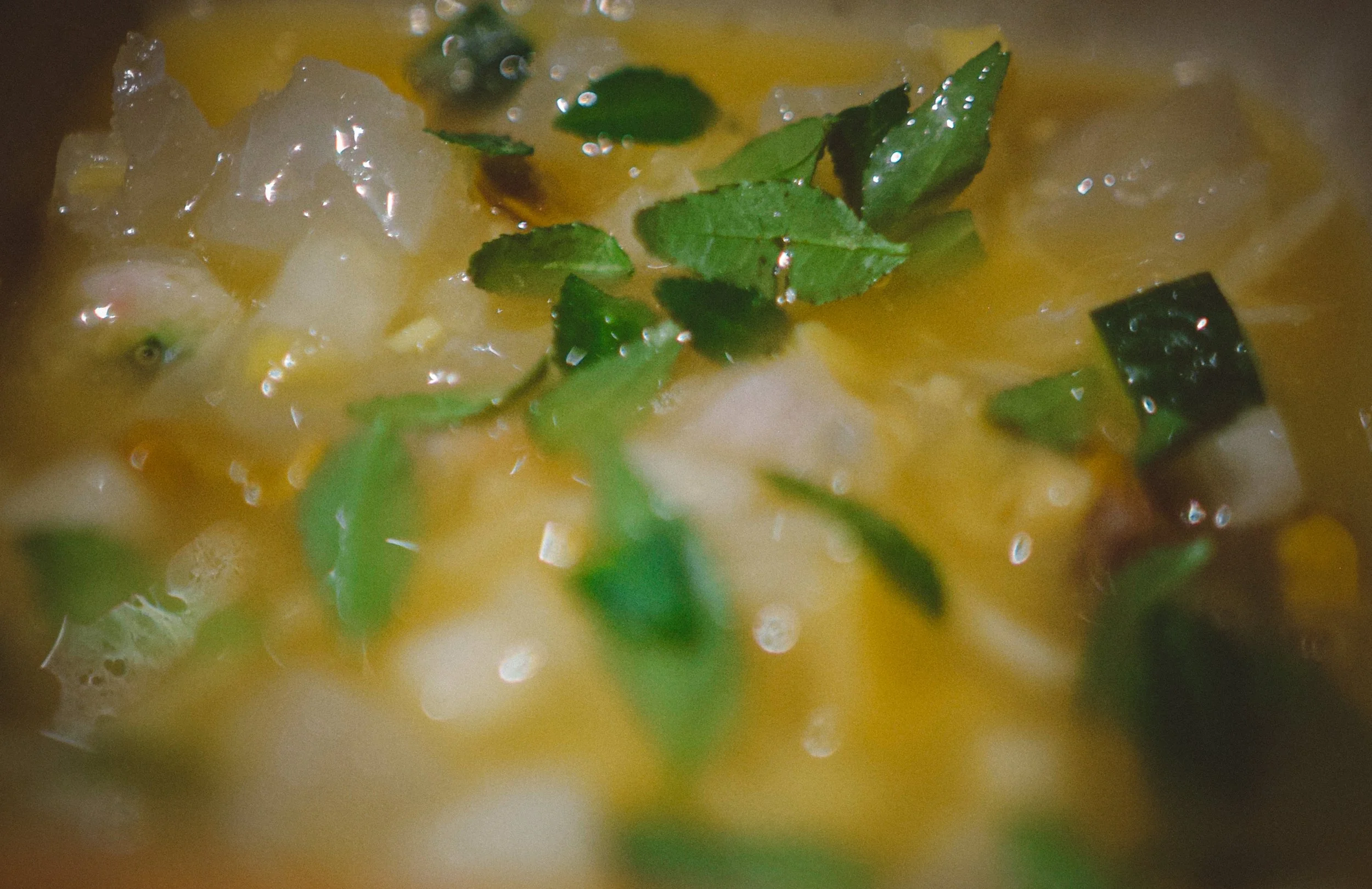 _DSC0121.jpg
