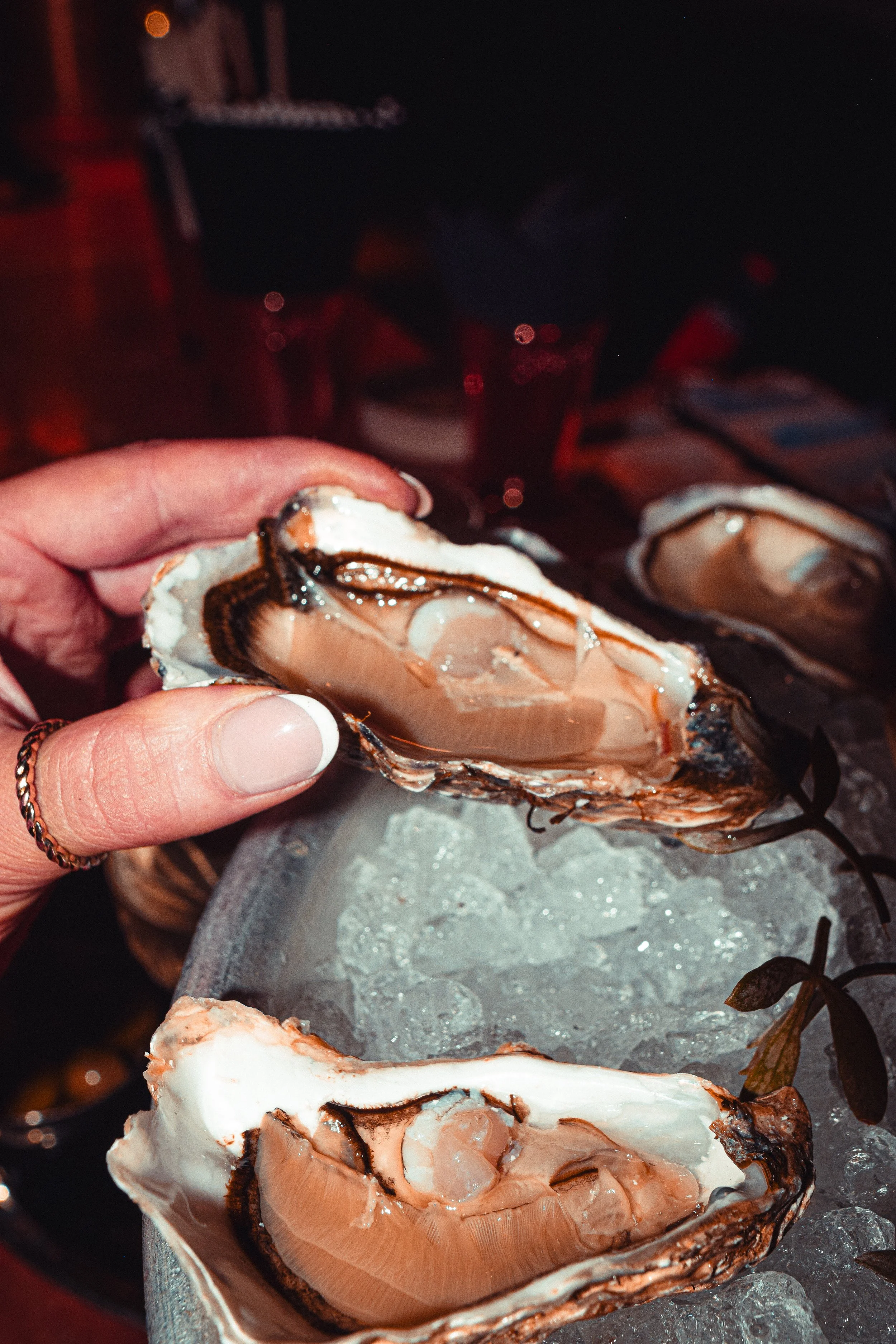 170725 (1 of 1)-26.jpg