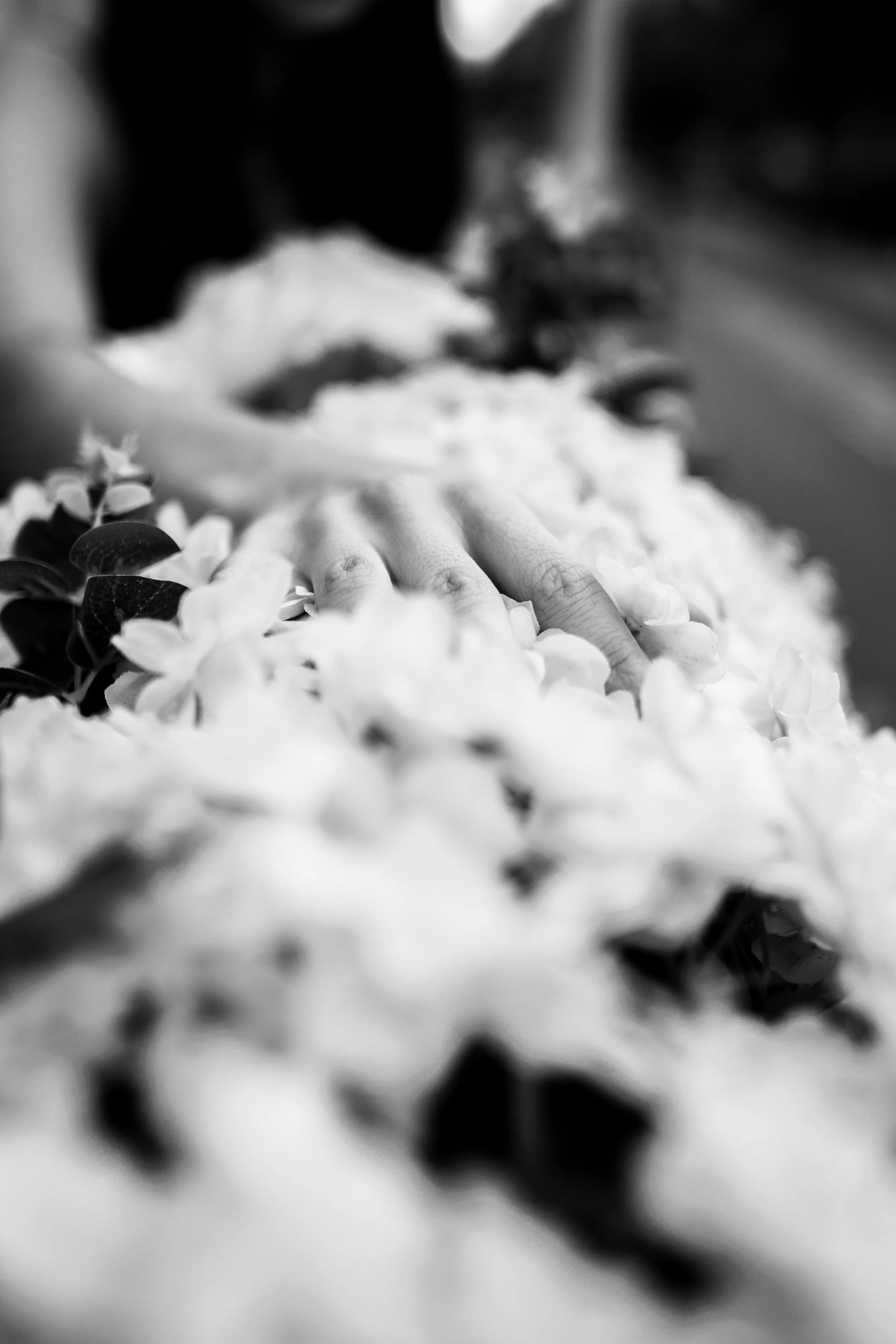 Chels (1 of 1)-40.jpg