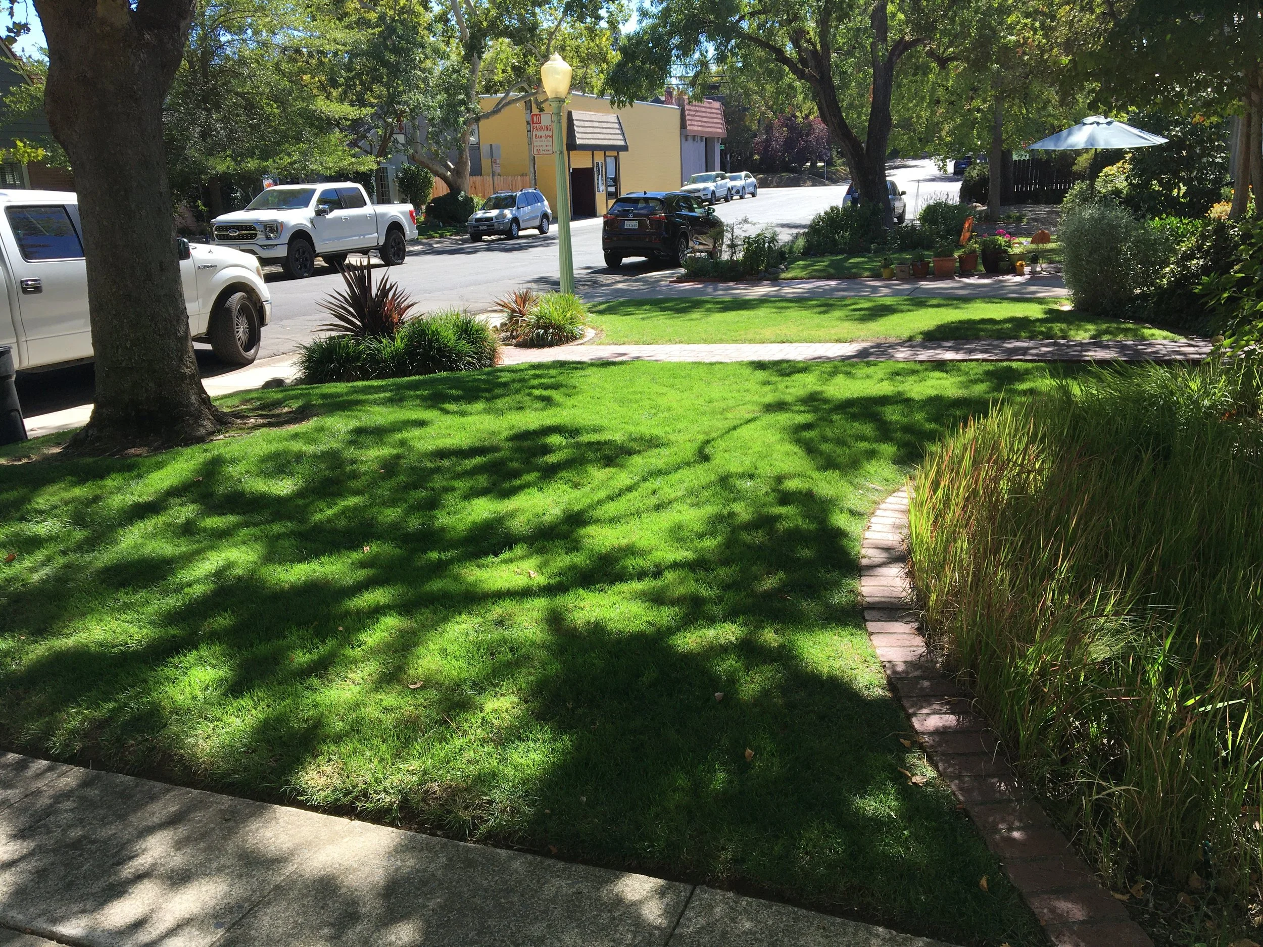 Premium Landscape Maintenance