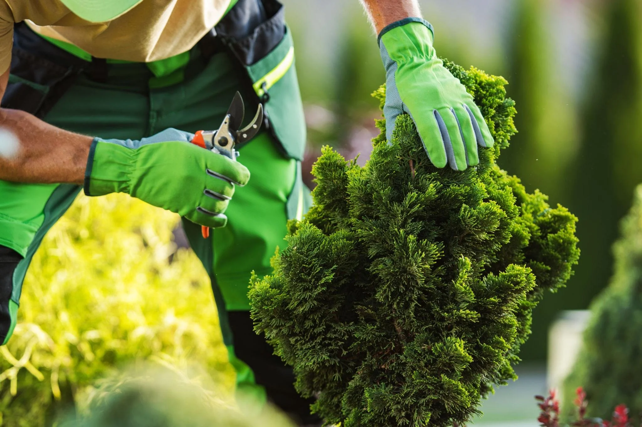 Why “Mow &amp; Blow” Landscaping Is Costing You More Than You Think