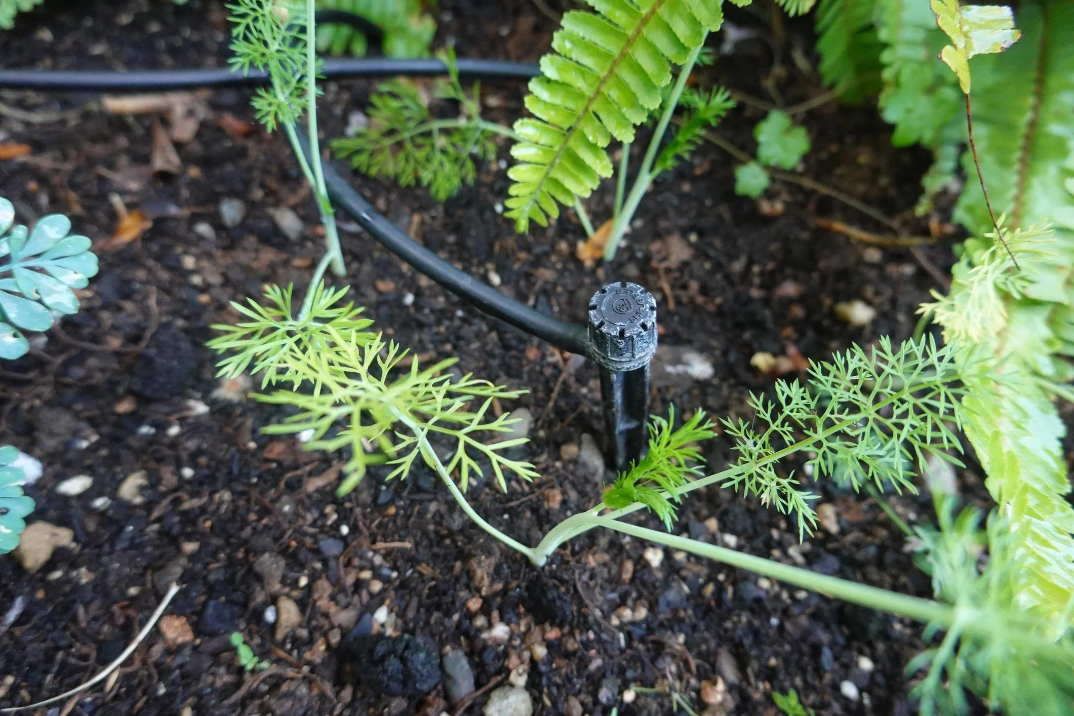 How Proper Irrigation Can Save You Thousands